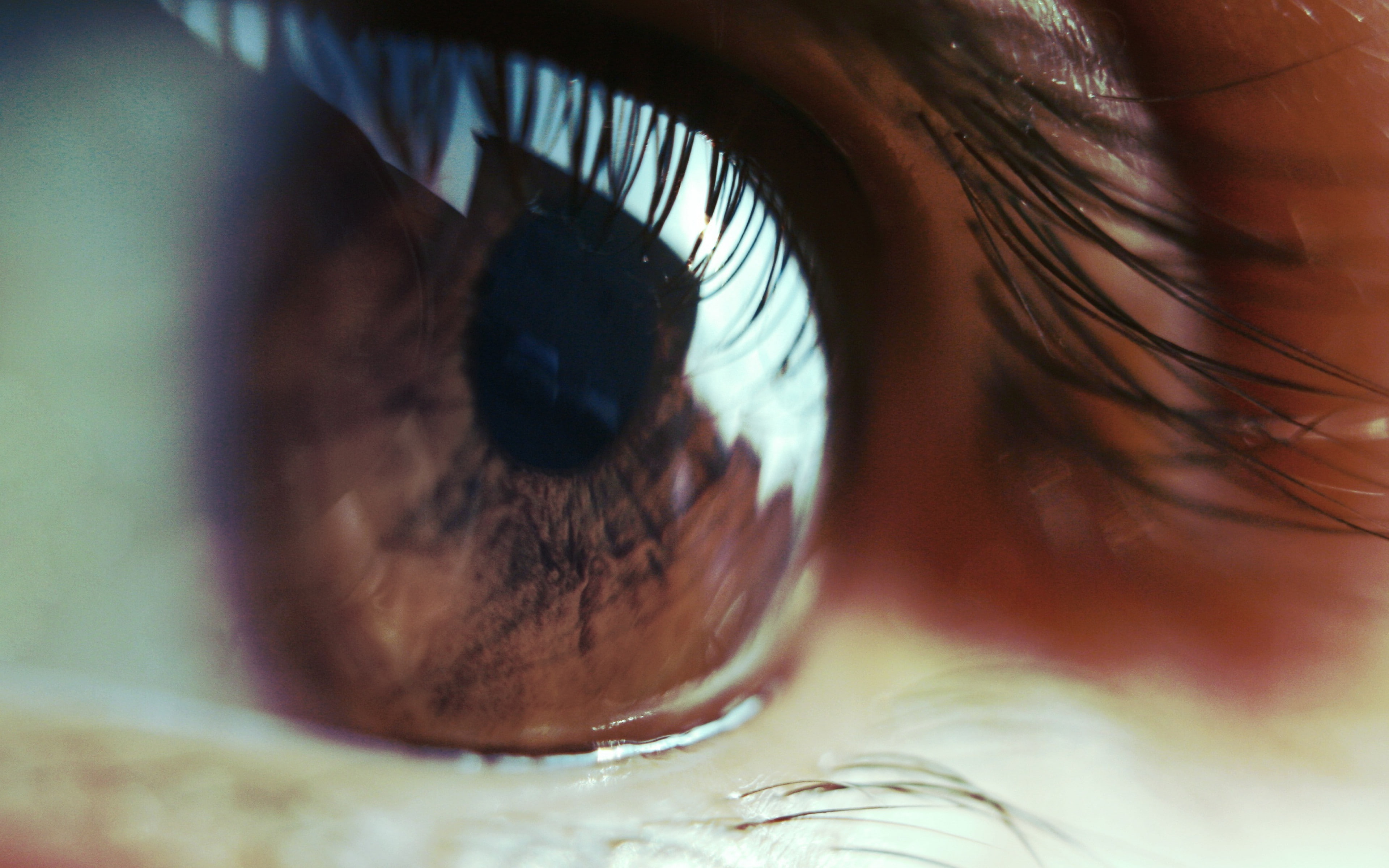 lashes, pupil backgrounds, eye, close-up, download 3840x2400 eye, 4K, HD Wallpaper