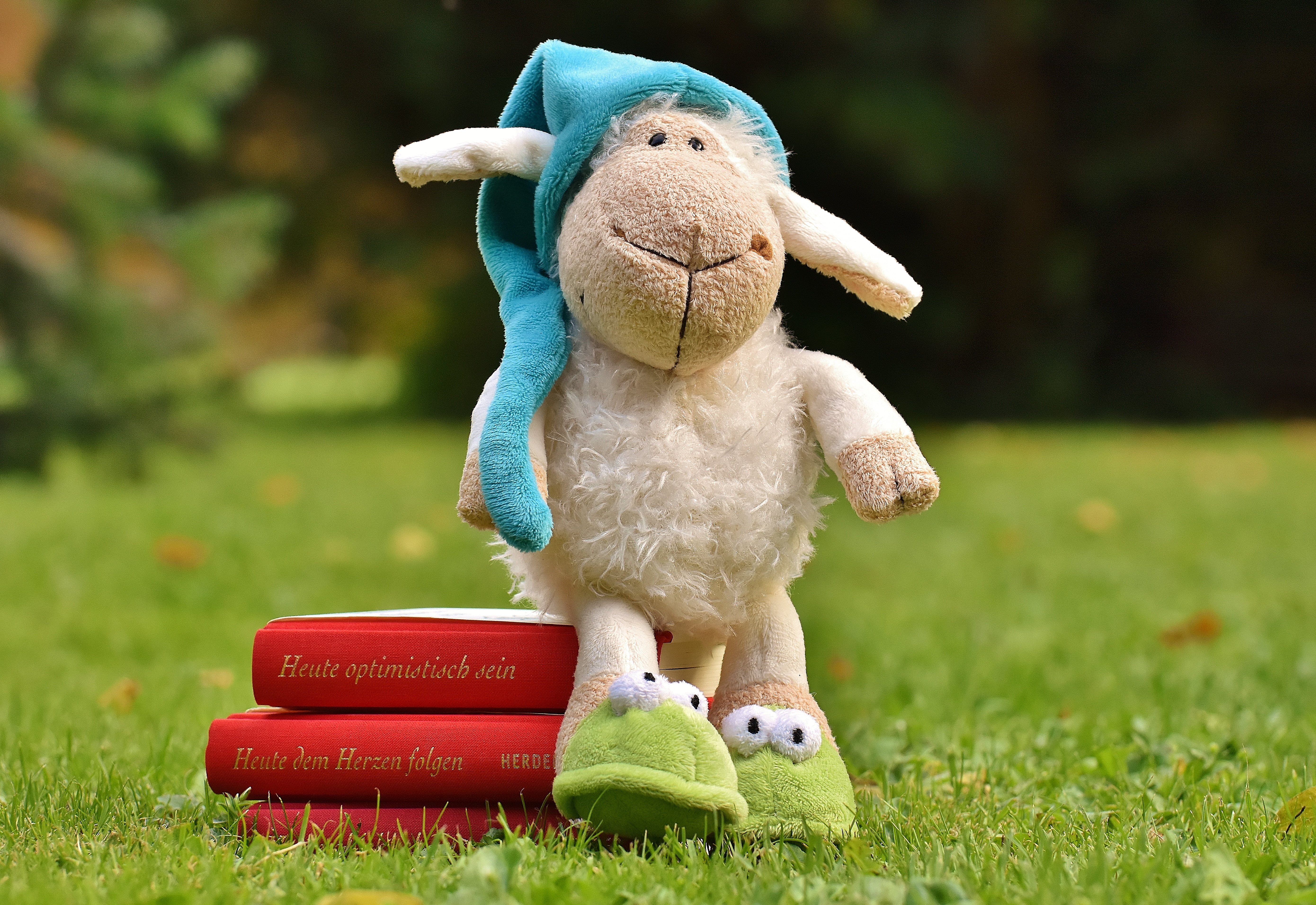focus on foreground, stuffed animal, toys, no people, day, nature, field, plush, toy, teddy bear, cute, green color, meadow, 5K, read, sheep, sleepyhead, HD Wallpaper