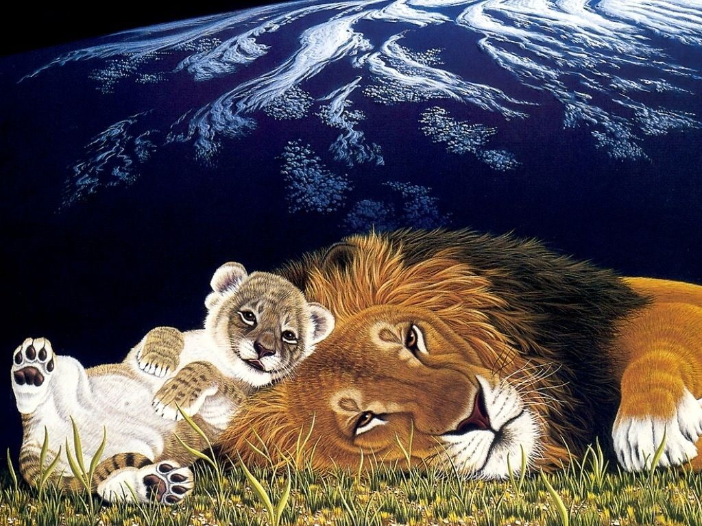 tiger, animal head, lion, lion - feline, group of animals, animal family, no people, day, animal wildlife, big cat, cat, undomesticated cat, animals in the wild, HD Wallpaper