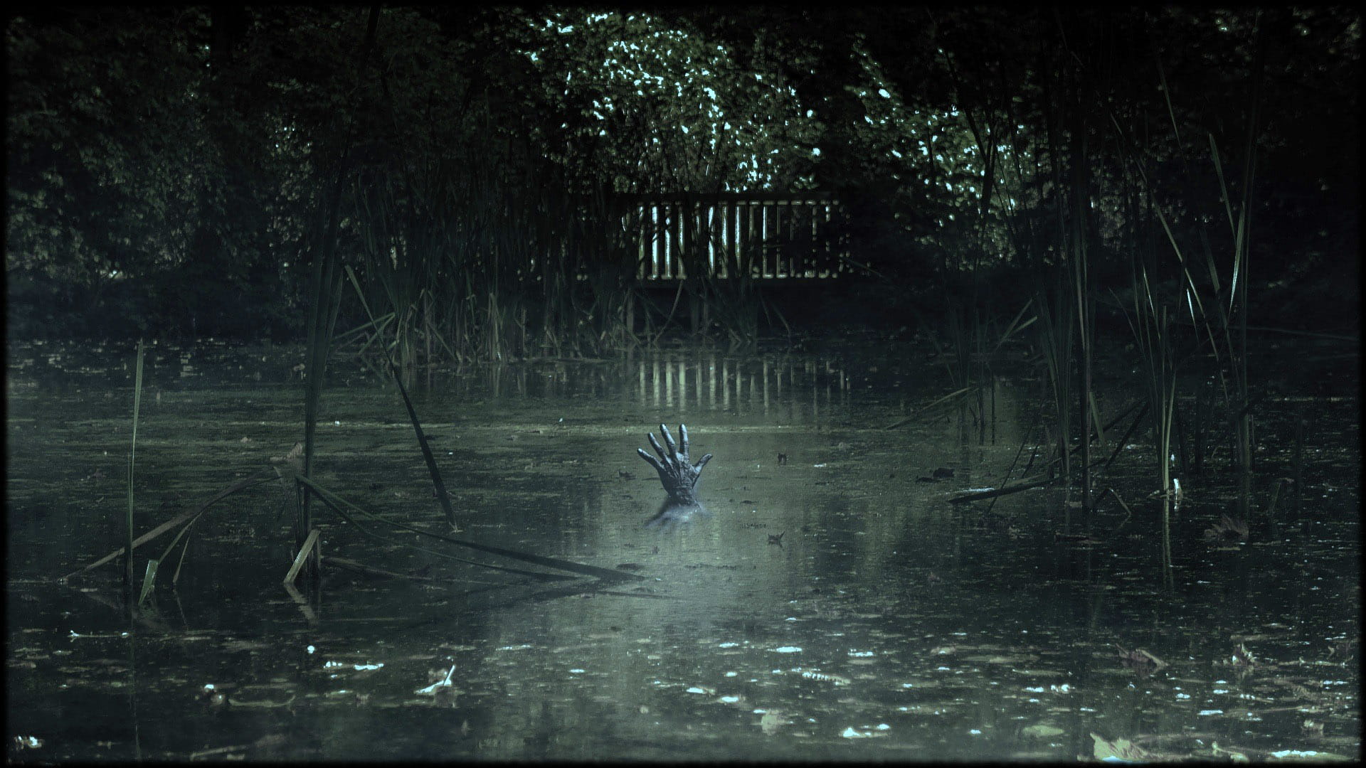 forest, public domain, animals in the wild, Swamp, beauty in nature, photos, Monster, coming up, group of animals, floating on water, nature, lake, water, HD Wallpaper