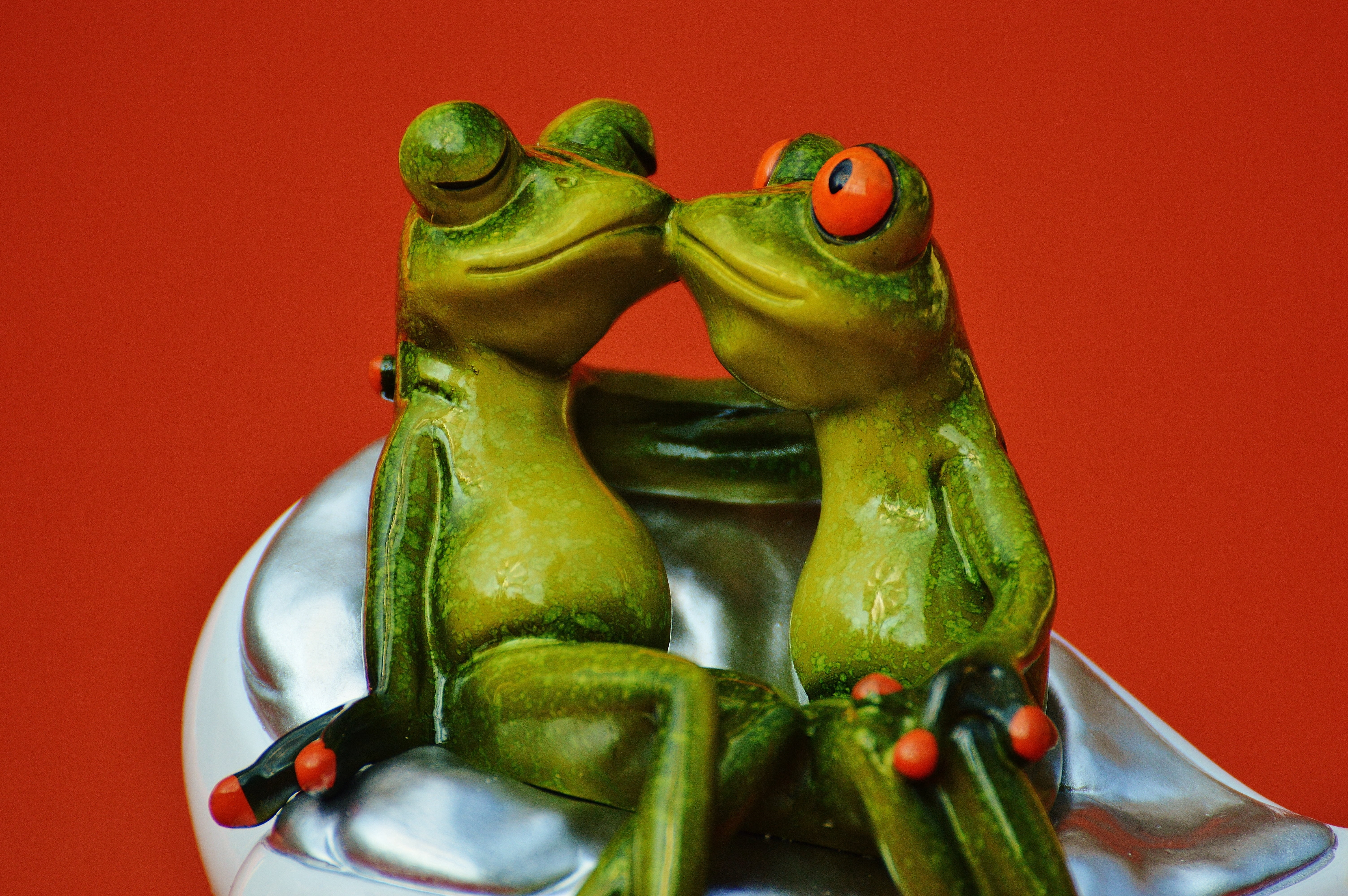 love, green color, lovers, pair, fun, studio shot, bell pepper, tenderness, food and drink, frogs, no people, pepper, tender, romance, animal, feelings, HD Wallpaper