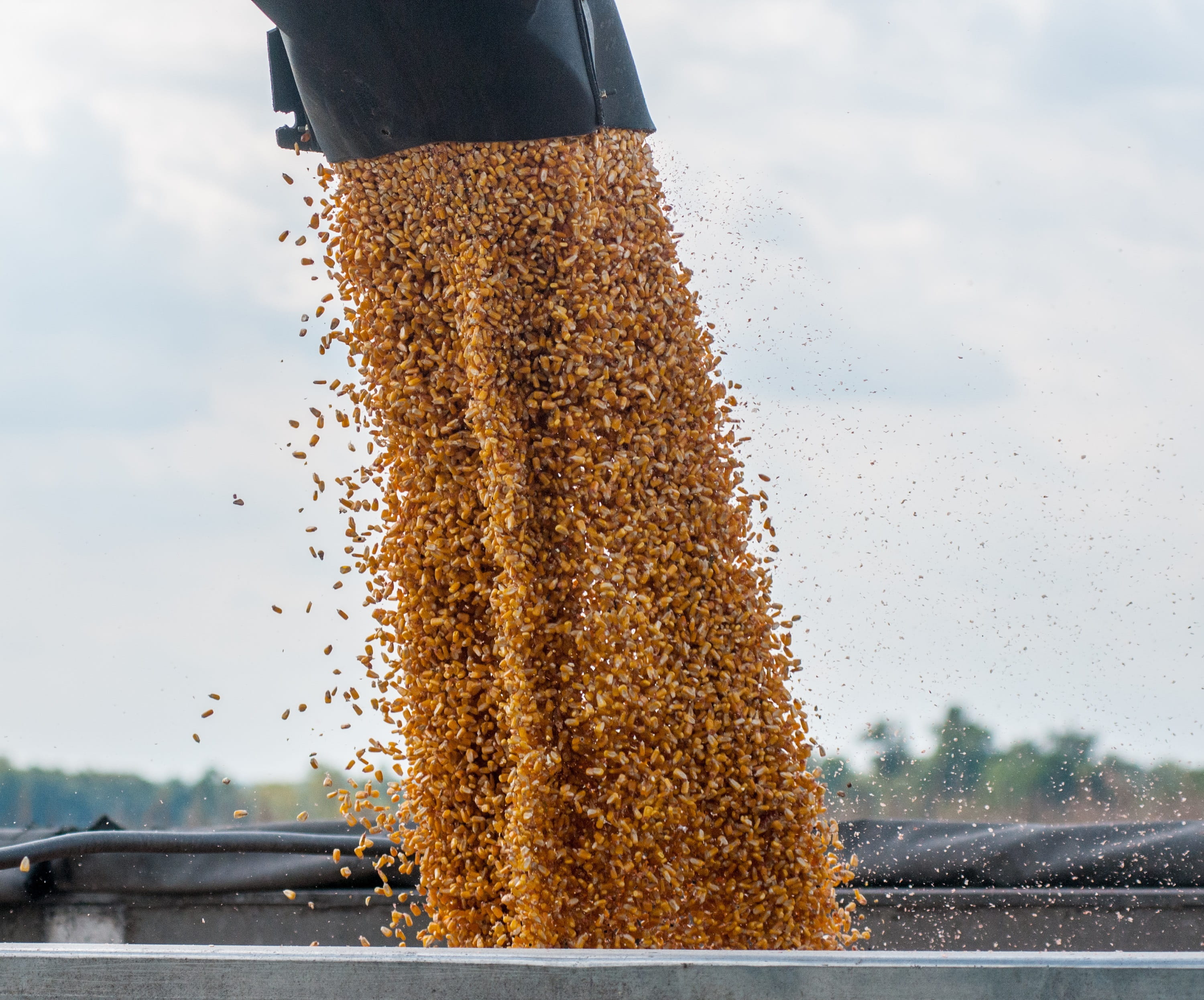 drop, autumn, outdoors, field, refreshment, fall, combine, brown, cloud - sky, harvest, corn, 2K, crop, glass - material, season, sky, pouring, nature, HD Wallpaper