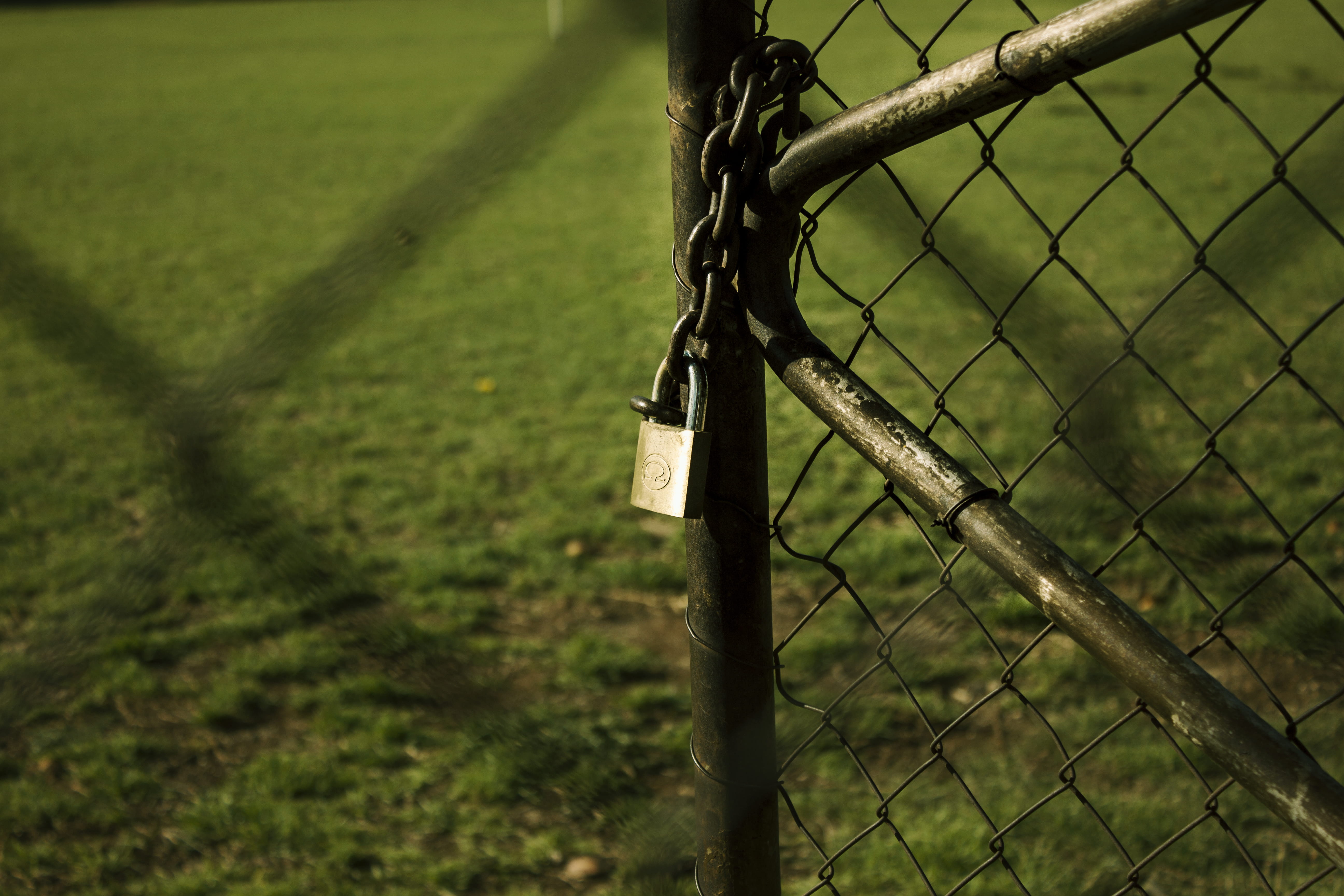 exclusion, toy, barrier, focus on foreground, green color, field, outdoors, animal, no people, metal, boundary, lock, plant, harness, ground, nature, land, HD Wallpaper