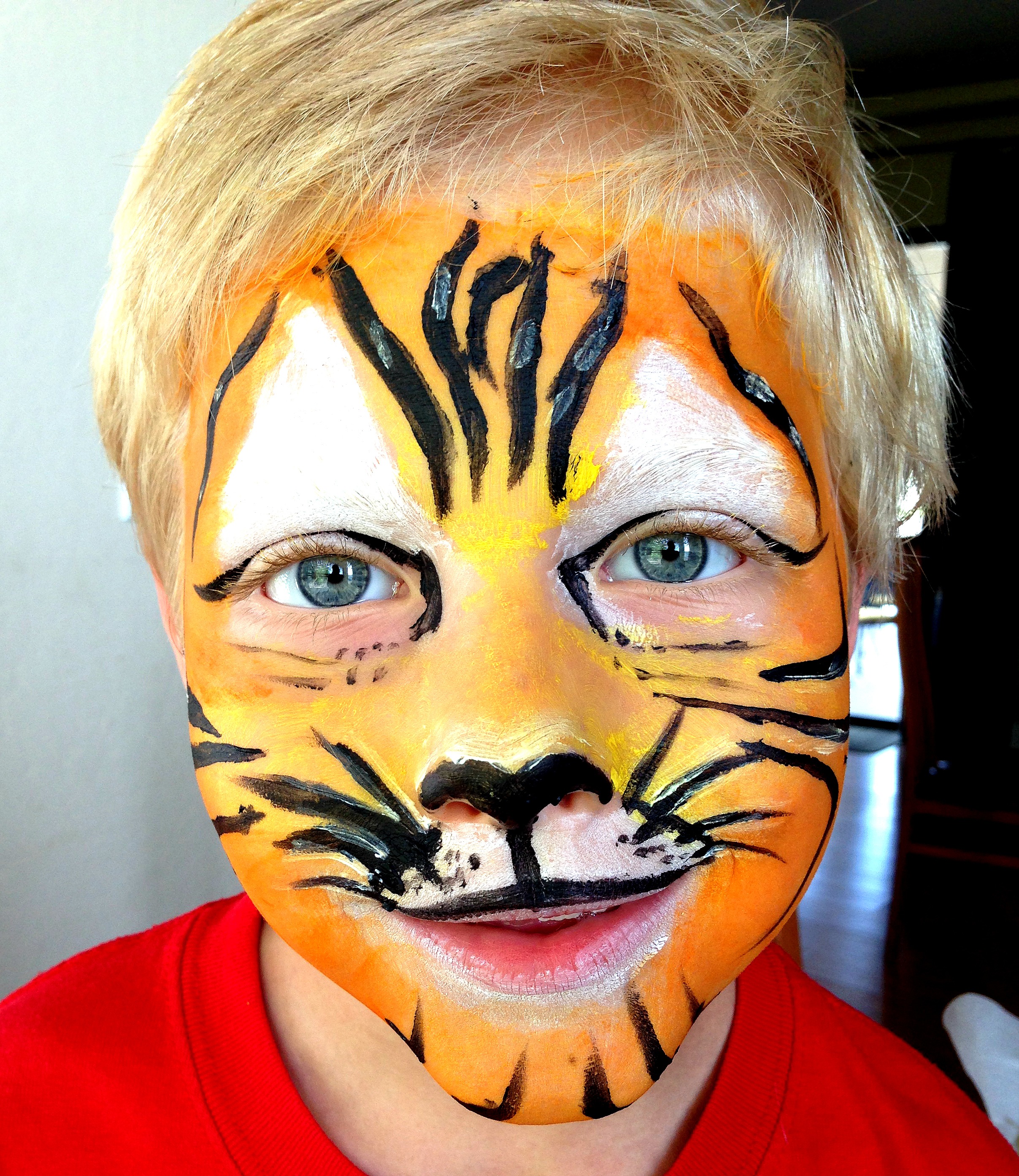 face painting, lion, mask, tiger, painting, cat face, close-up, costume, boy, front view, indoors, headshot, art and craft, leisure activity, creativity, Phone HD Wallpaper