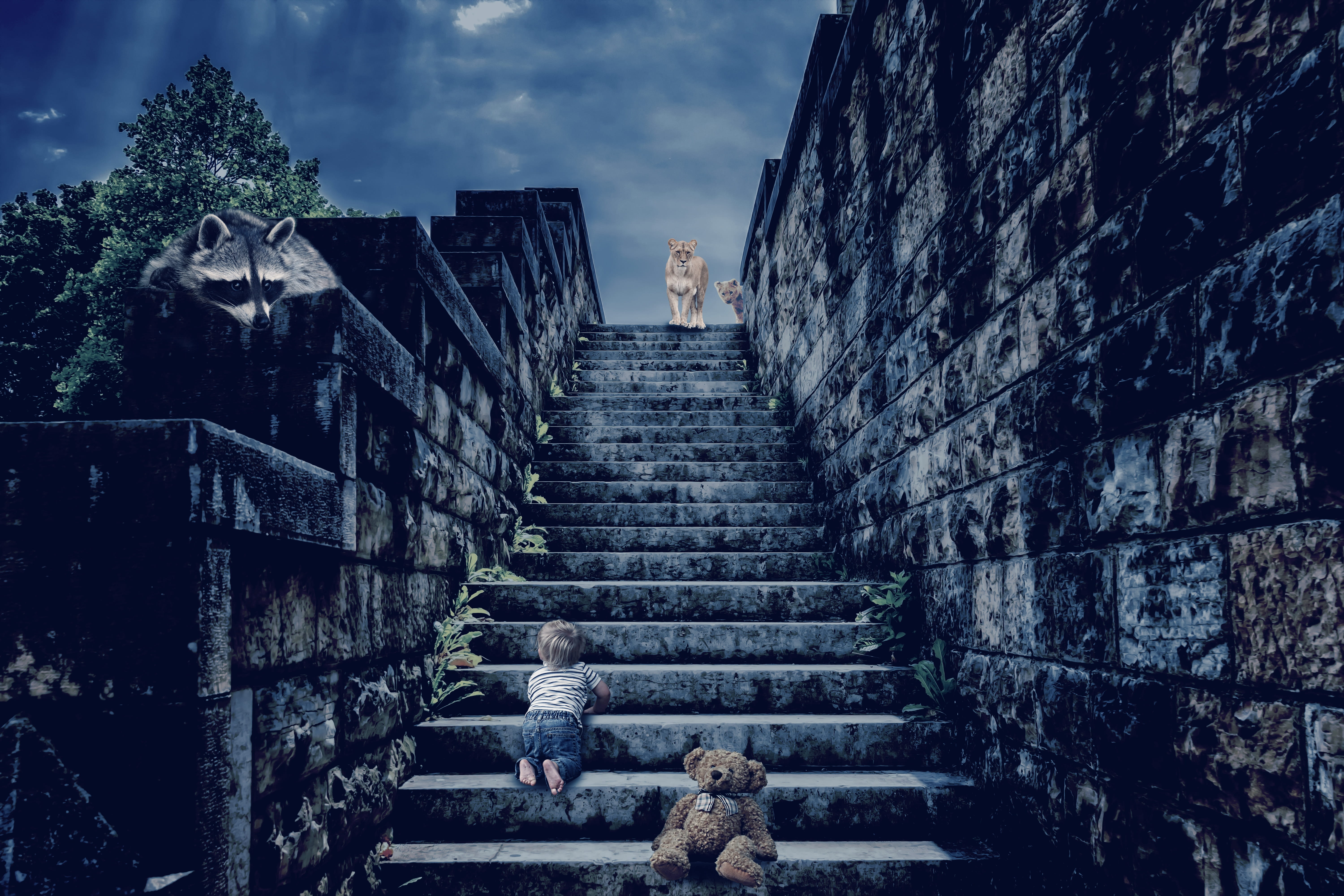 sweet, spirituality, built structure, belief, staircase, lion, stairs, teddy bear, baby, architecture, kid, the past, lioness, history, outdoors, stair, HD Wallpaper