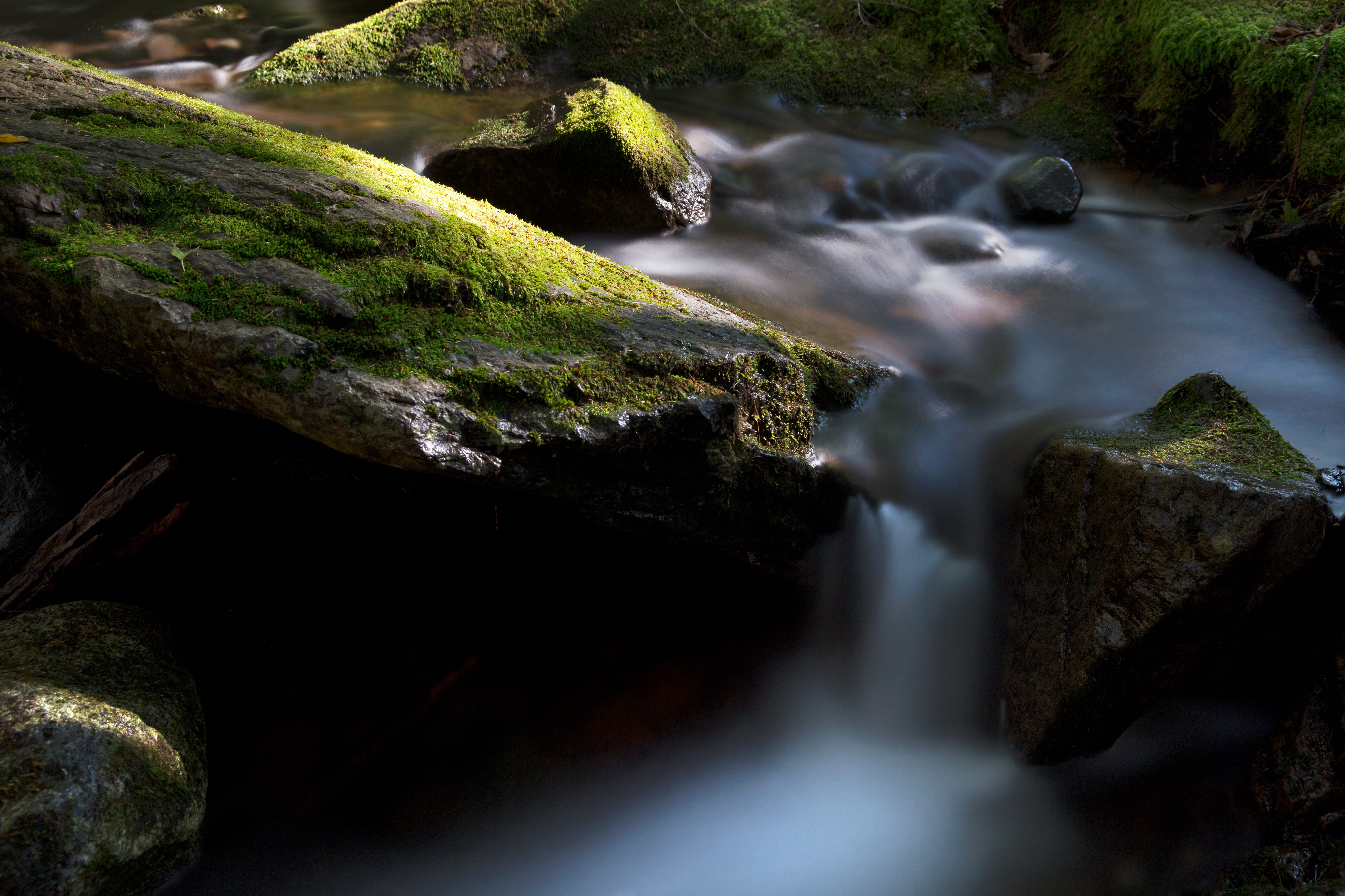 forest, flowing water, flowing, long exposure, 5K, nature, rock, rapids, tree, stream, scenic, green, environment, outdoors, rock - object, travel, scenics - nature, HD Wallpaper