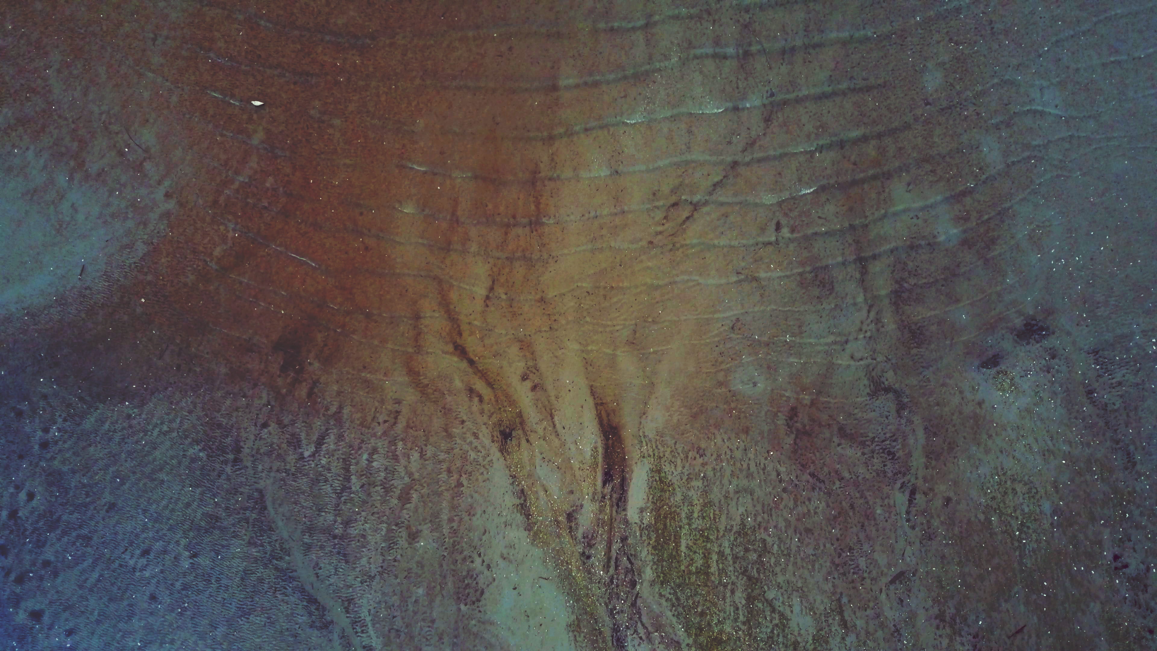 4K, tree, textured effect, rough, aerial, bark, brown, flooring, wood, pattern, indoors, close-up, wood - material, algae, day, federal way, full frame, HD Wallpaper