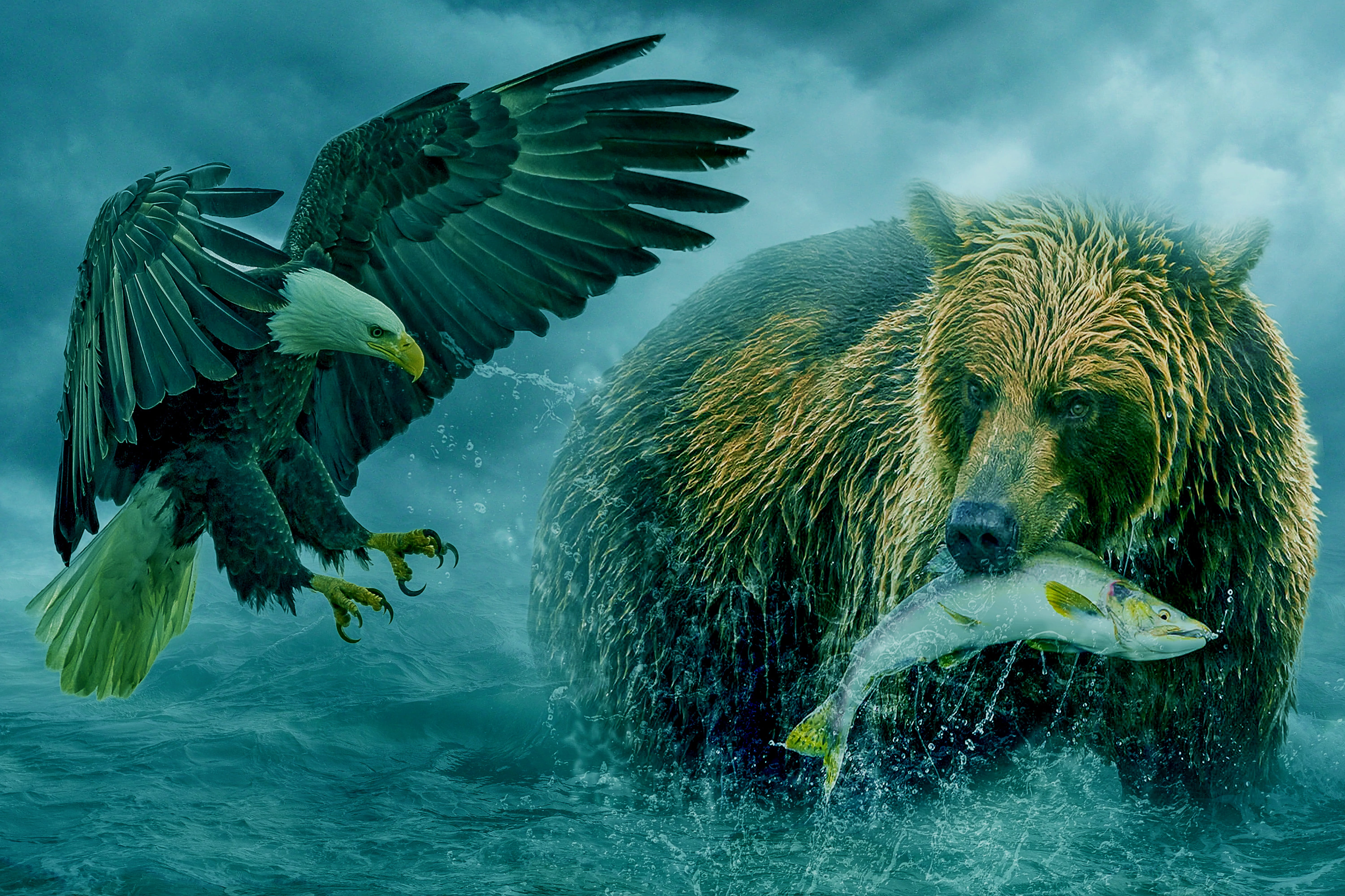group of animals, no people, sea, animal wildlife, ocean, nature, fish, manipulation, fishing, day, motion, splashing, sky, flying, animal, outdoors, mid-air, HD Wallpaper
