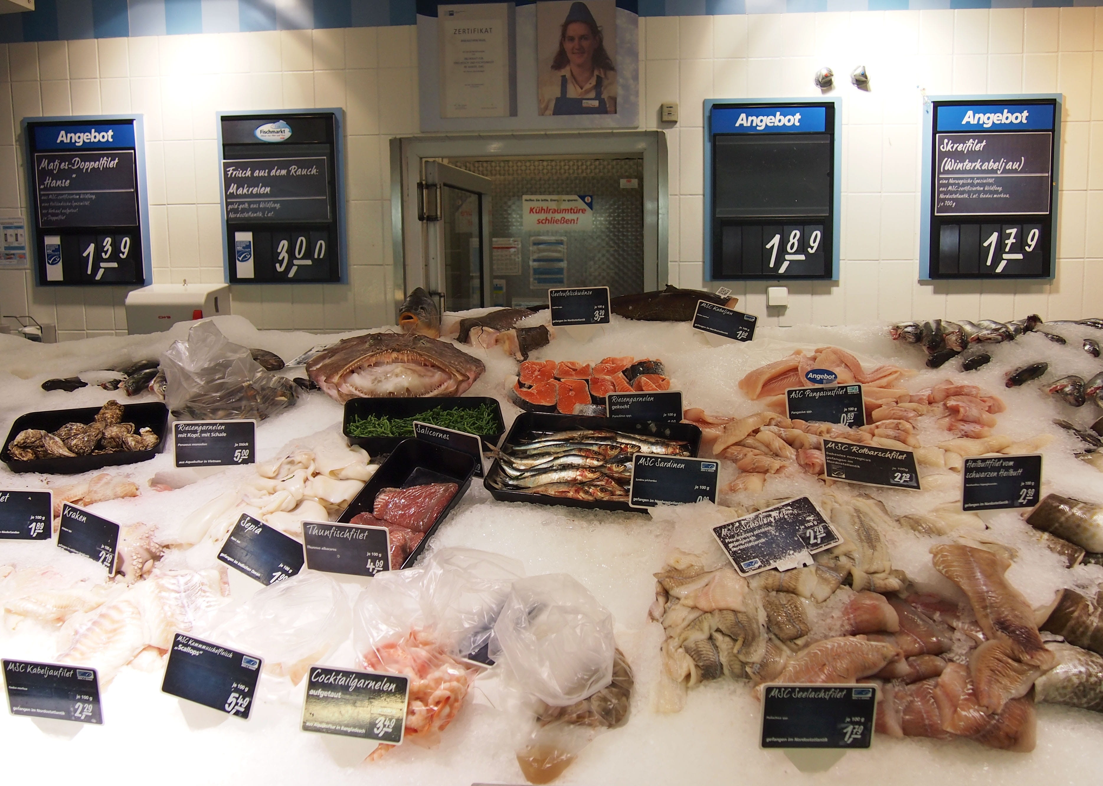 Fish Counter, technology, Market, buy, food and drink, indoors, fish, store, were offered, 2K, price tag, arrangement, no people, for sale, variation, HD Wallpaper