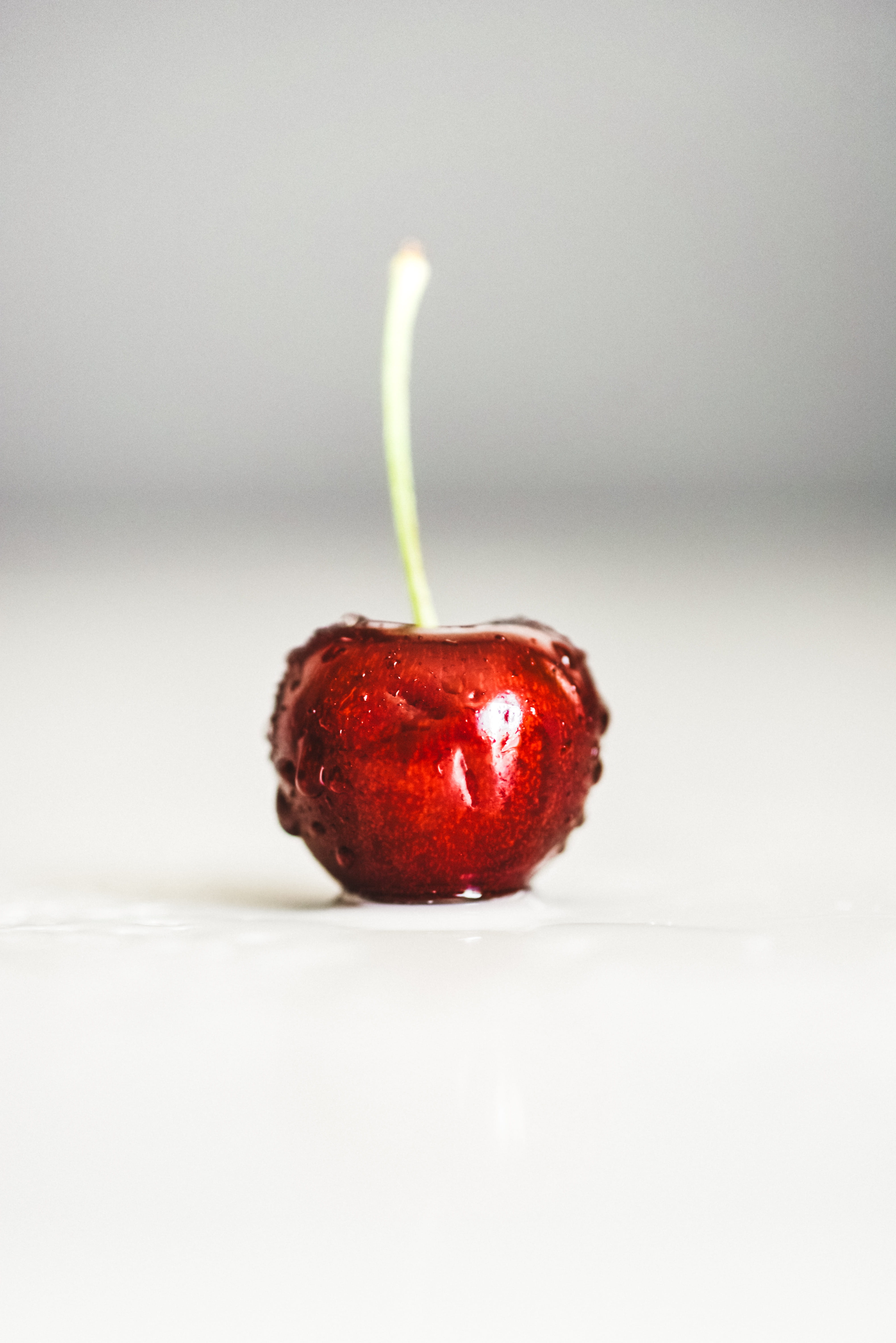 food, candy, freshness, bull, wellbeing, cherry, 5K, plant stem, copy space, fresh, white background, feed, mammal, plant, selective focus, focus on foreground, Phone HD Wallpaper