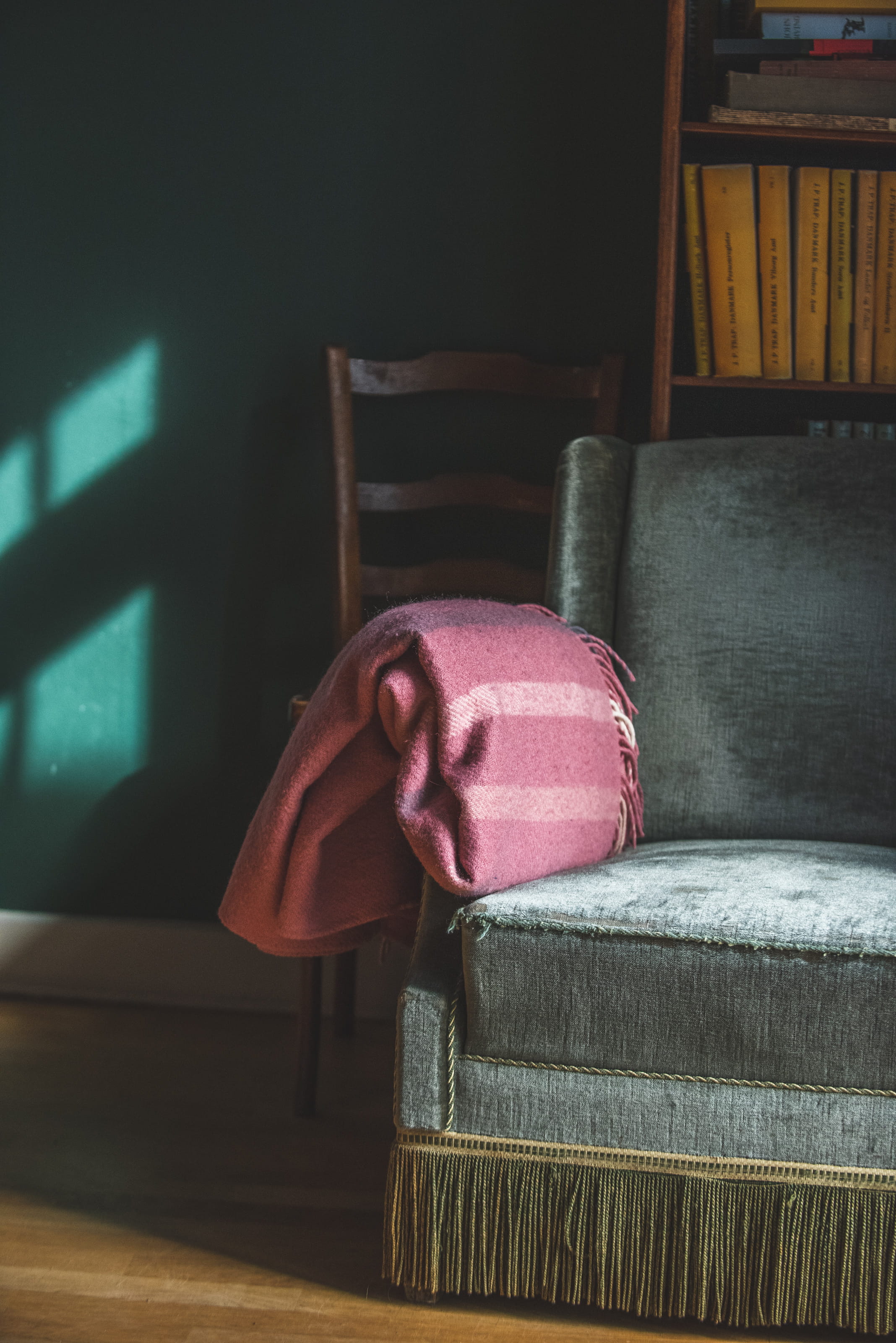 no people, still life, container, couch, seat, antler, guitar, indoors, electric guitar, day, sofa, focus on foreground, inflatable, domestic room, furniture, Phone HD Wallpaper