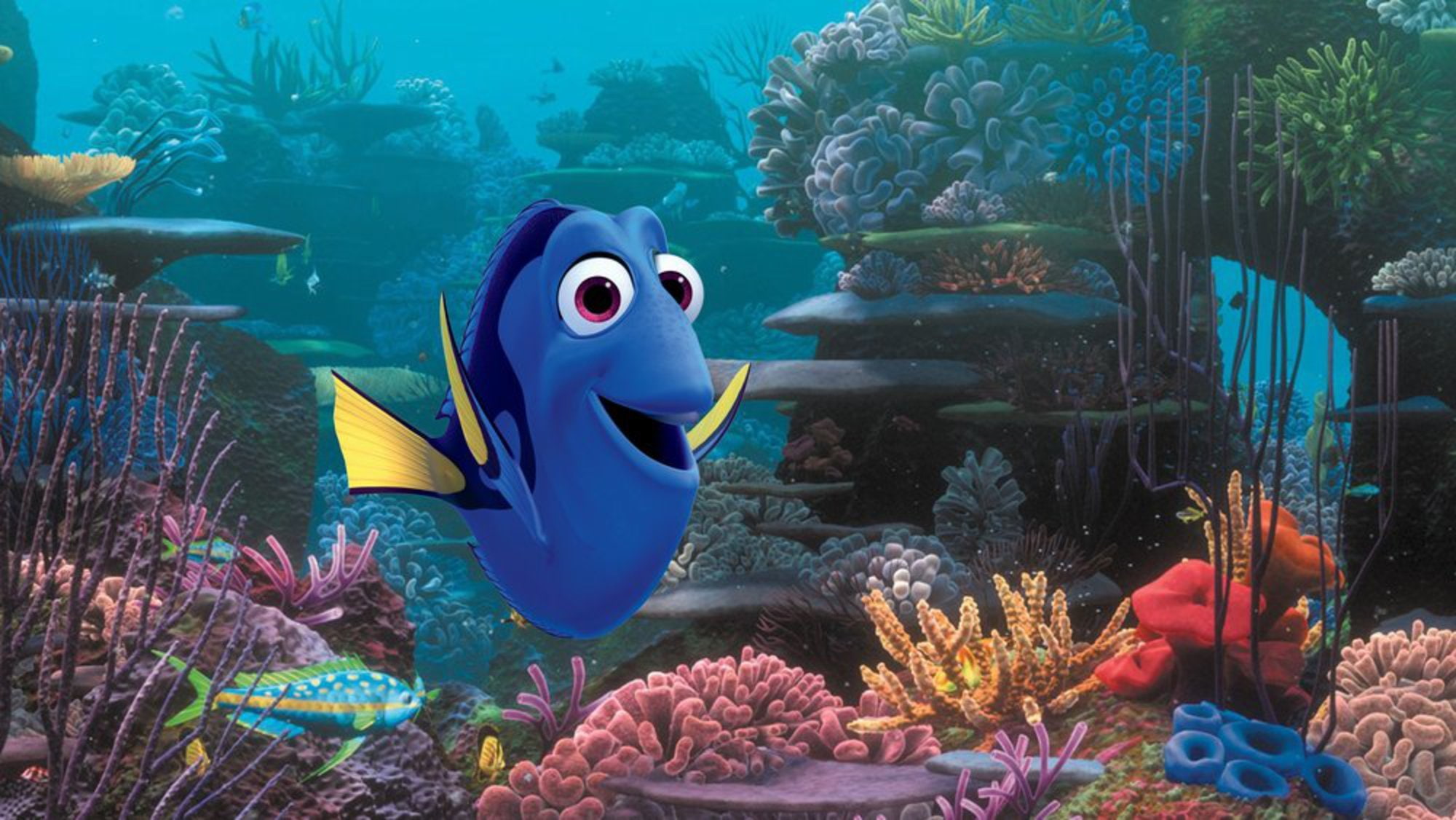 tropical, fish, nemo, adventure, comedy, sea, family, finding, animation, underwater, 1080P, drama, disney, ocean, HD Wallpaper