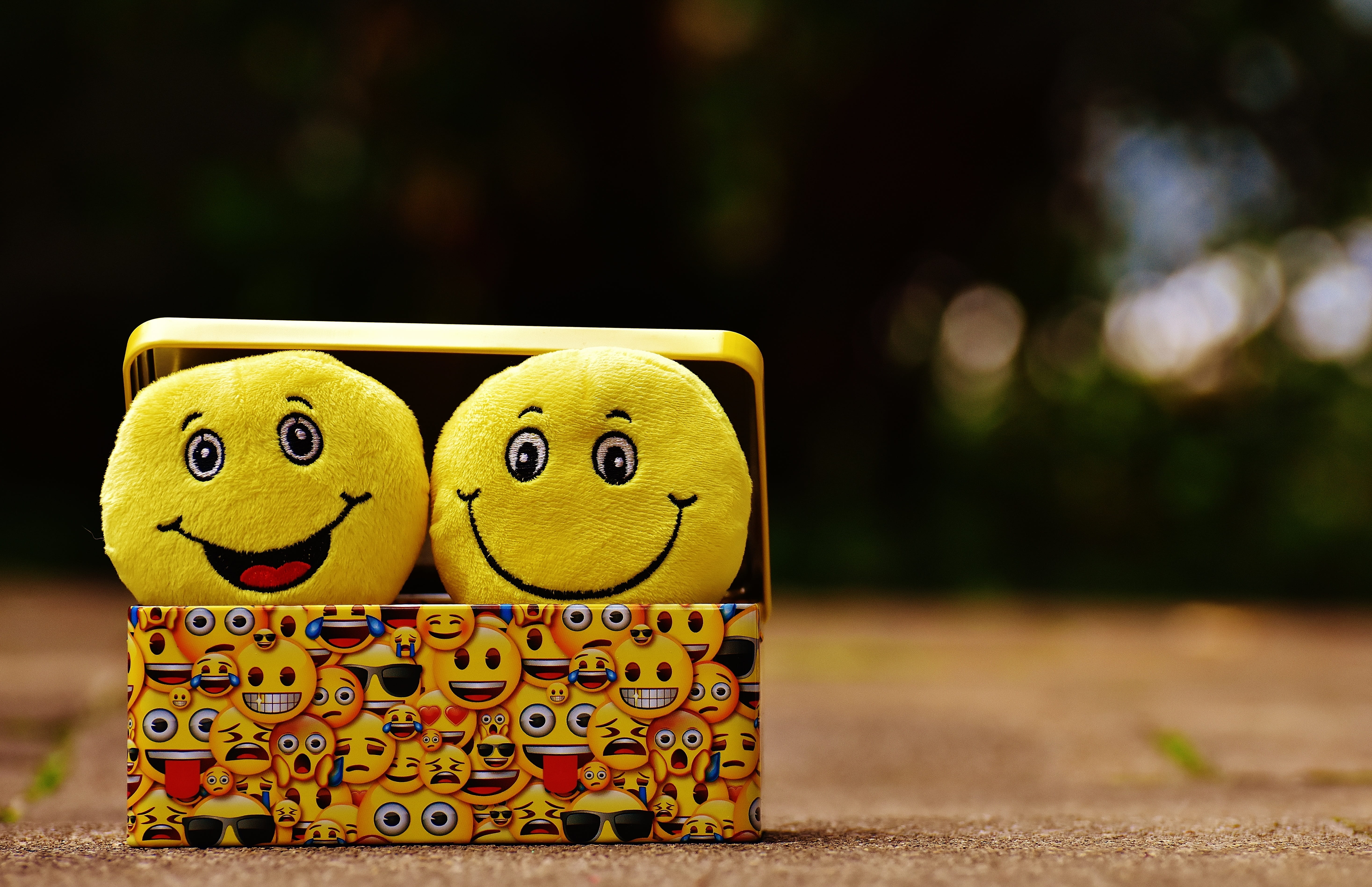 toys, feeling, smiley, emotions, 5K, no people, close-up, face, emoji, luck, animal themes, happy, joy, smile, cheeky, good mood, animal, animal representation, HD Wallpaper