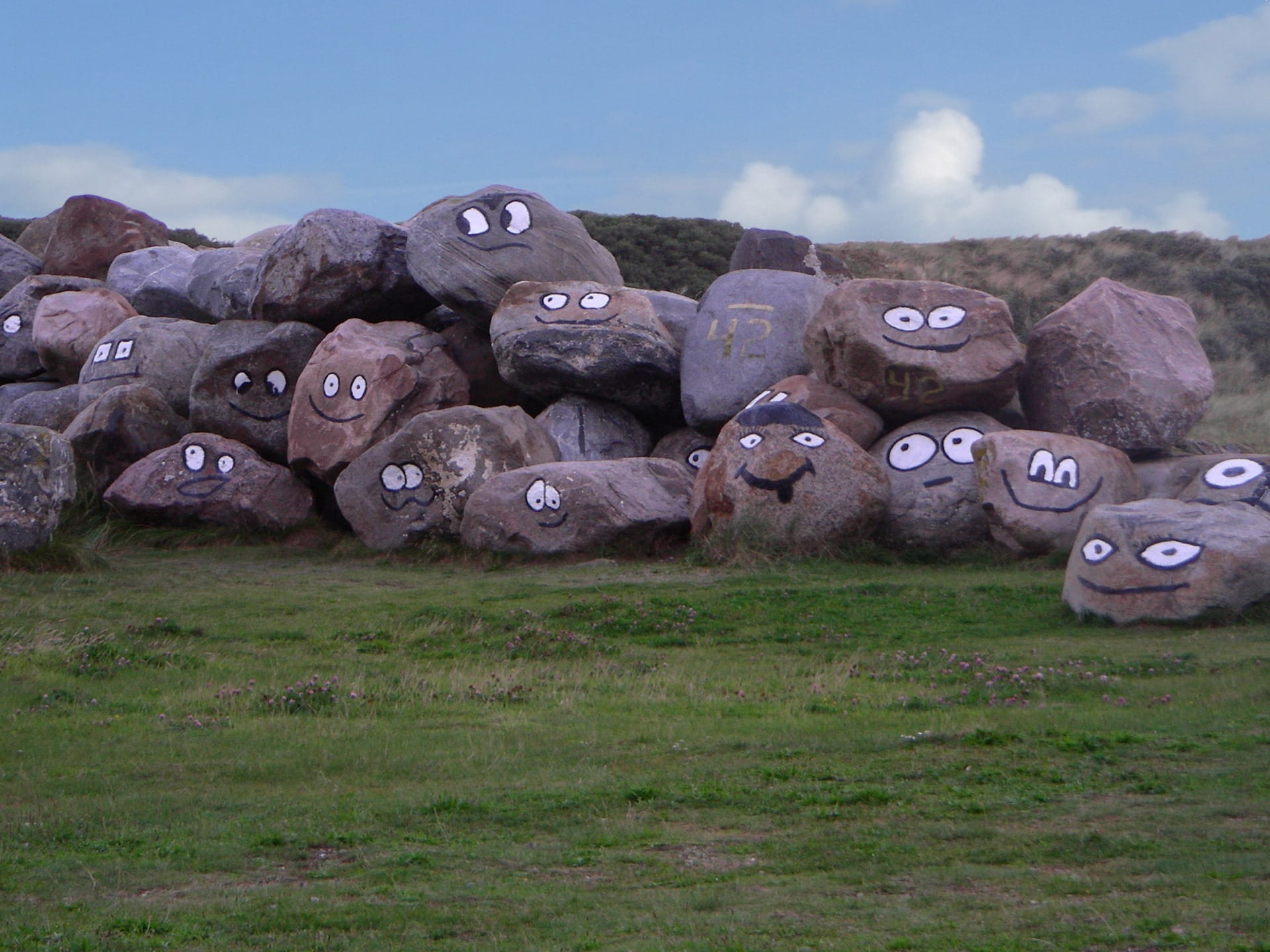 large group of animals, grass, field, vertebrate, land, faces, mole, North Sea, animal, grin, no people, plant, number, herd, Stones, nature, Laugh, day, HD Wallpaper
