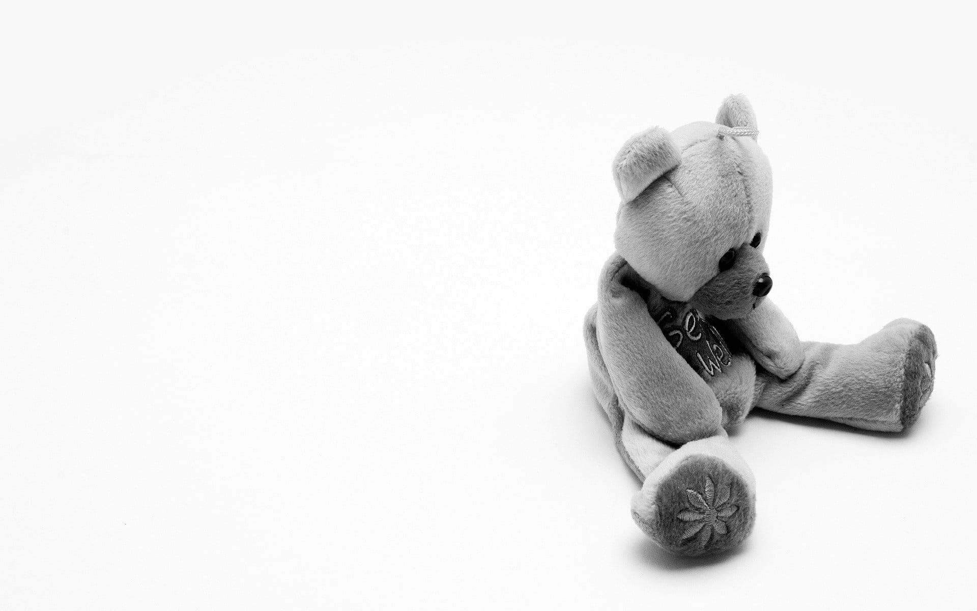 cut out, representation, no People, dog, white, cute, group of objects, puppy, indoors, soft, teddy Bear, stuffed toy, toy, studio Shot, man made object, HD Wallpaper