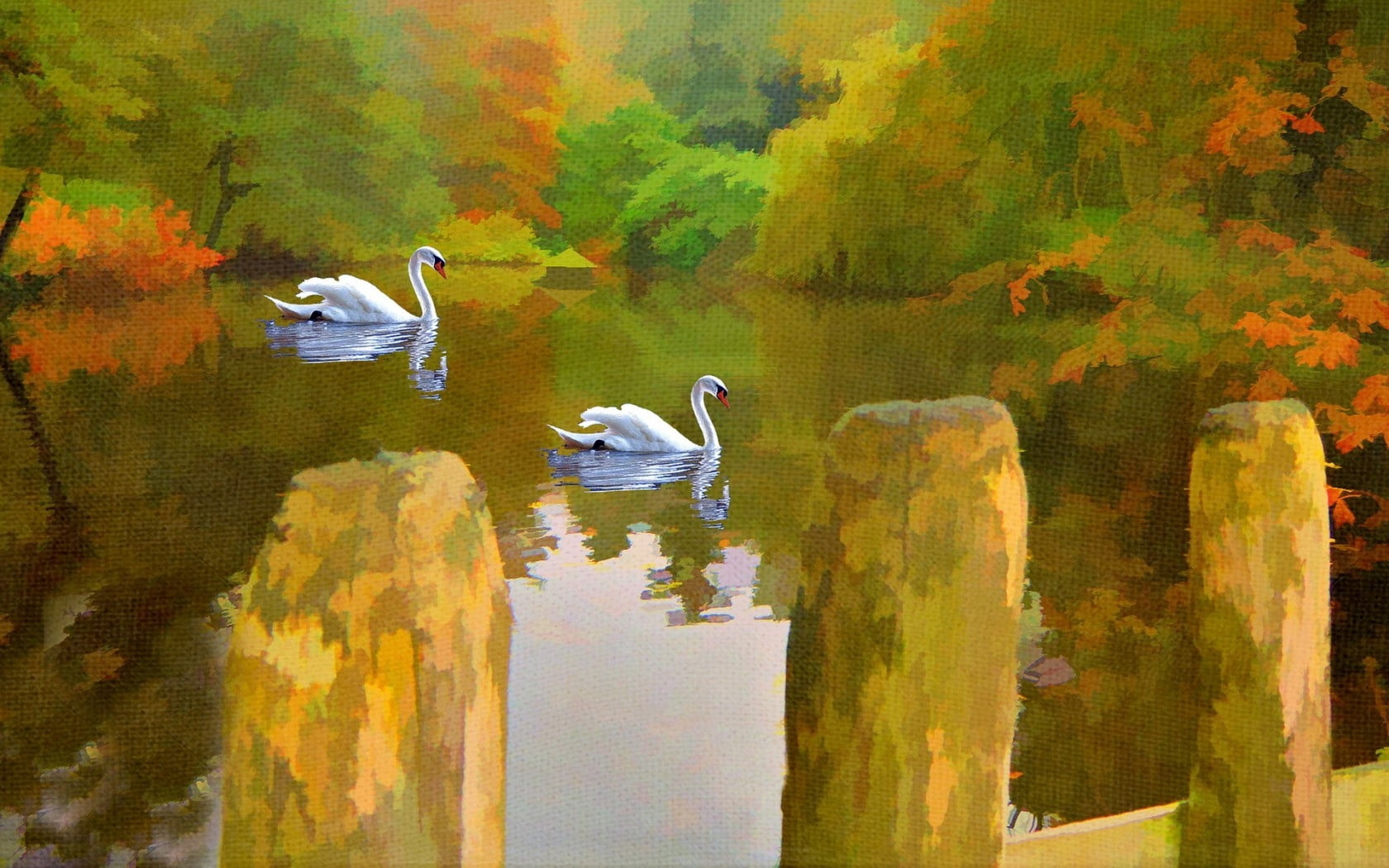 illustration, two, feather, 720P, color Image, group of animals, swan, day, animal themes, picture, bird, animal wildlife, water, tree, painting, reflection, HD Wallpaper
