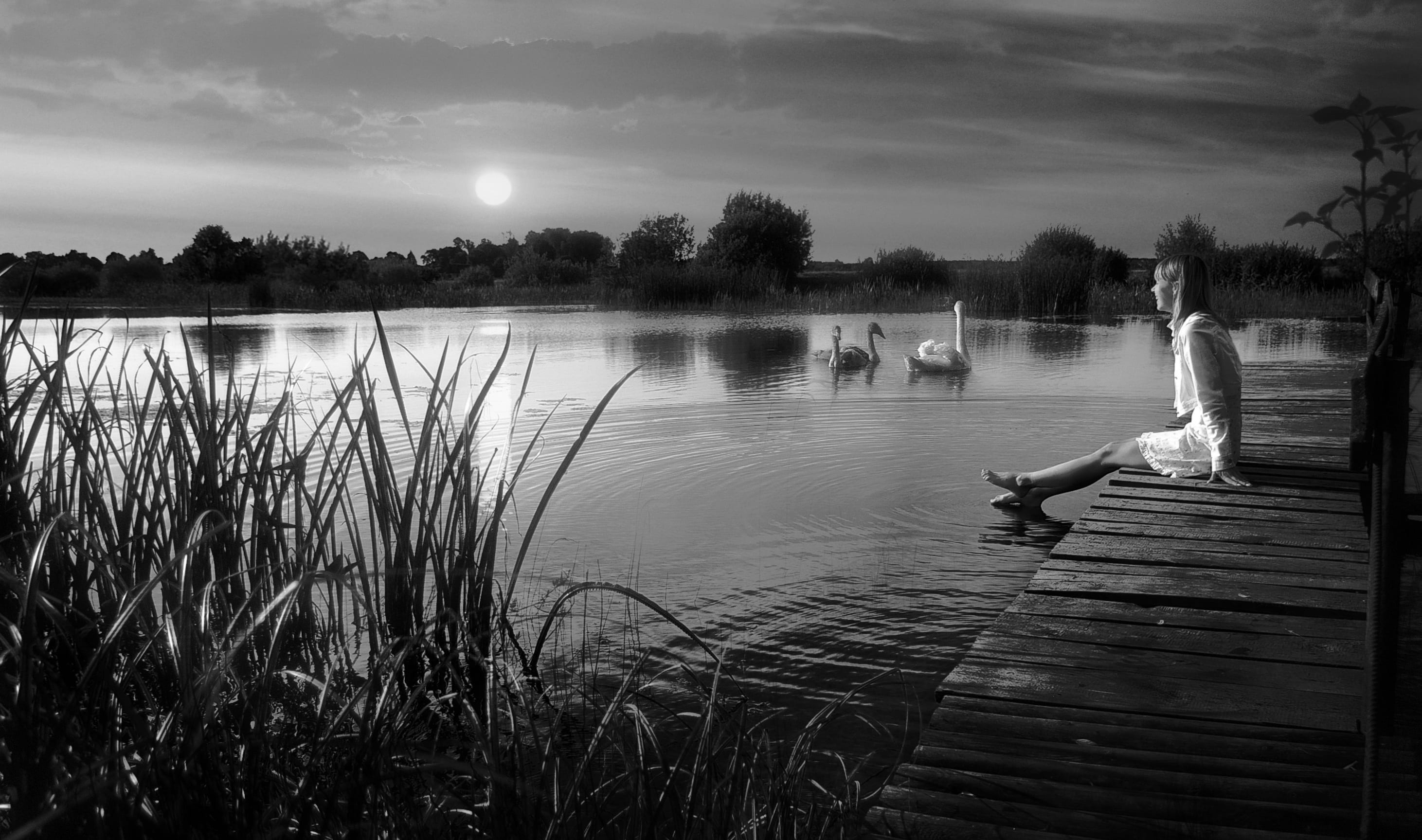 pond, sky, tree, swans, sunset, group of people, tranquil scene, togetherness, bird, nature, evening, feathered, white swan, real people, people, vacation, HD Wallpaper