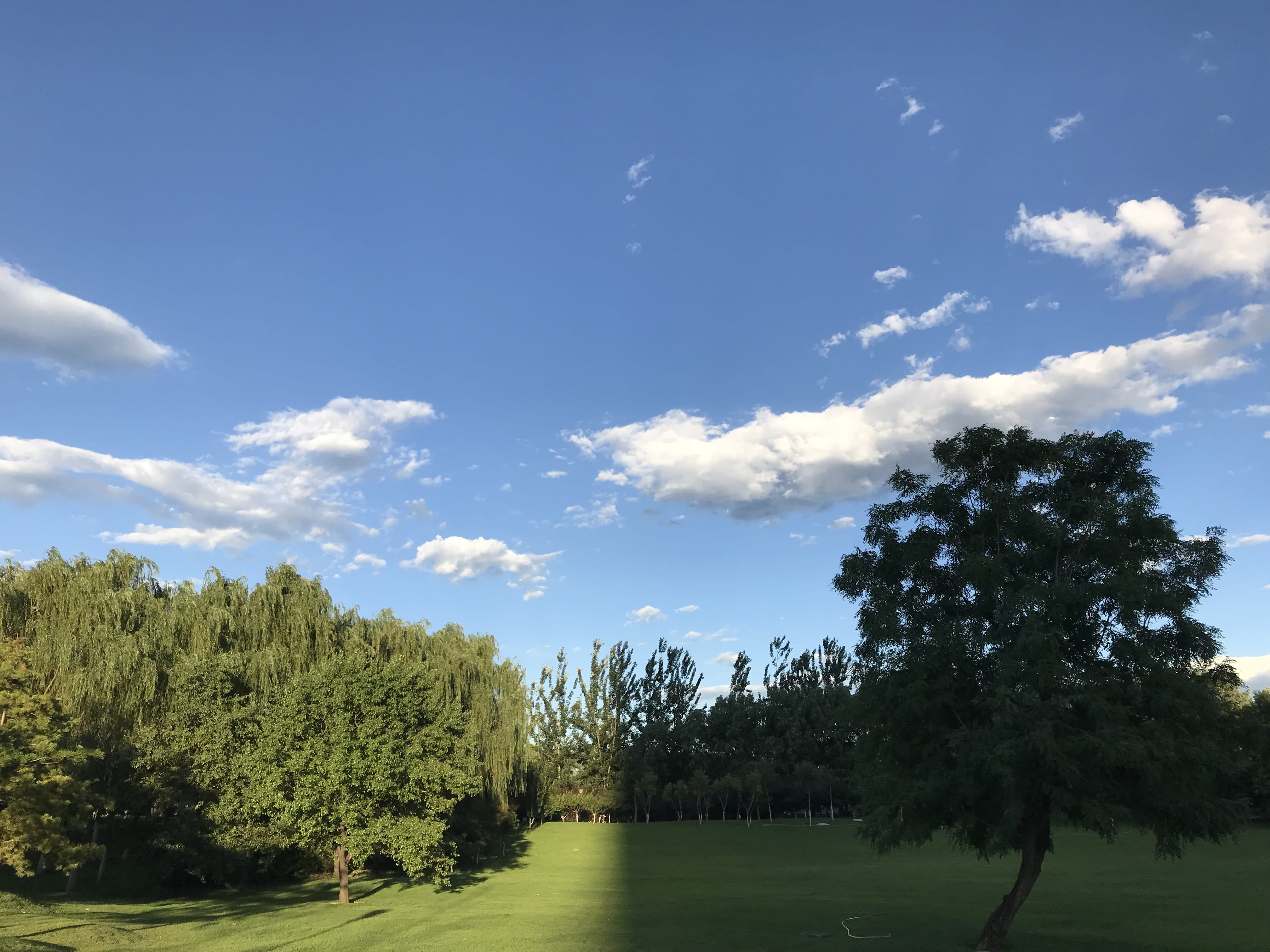 tranquil scene, nature, land, field, tranquility, china, plant, idyllic, outdoors, wangjing, no people, cloud - sky, sky, scenics - nature, 4K, landscape, HD Wallpaper