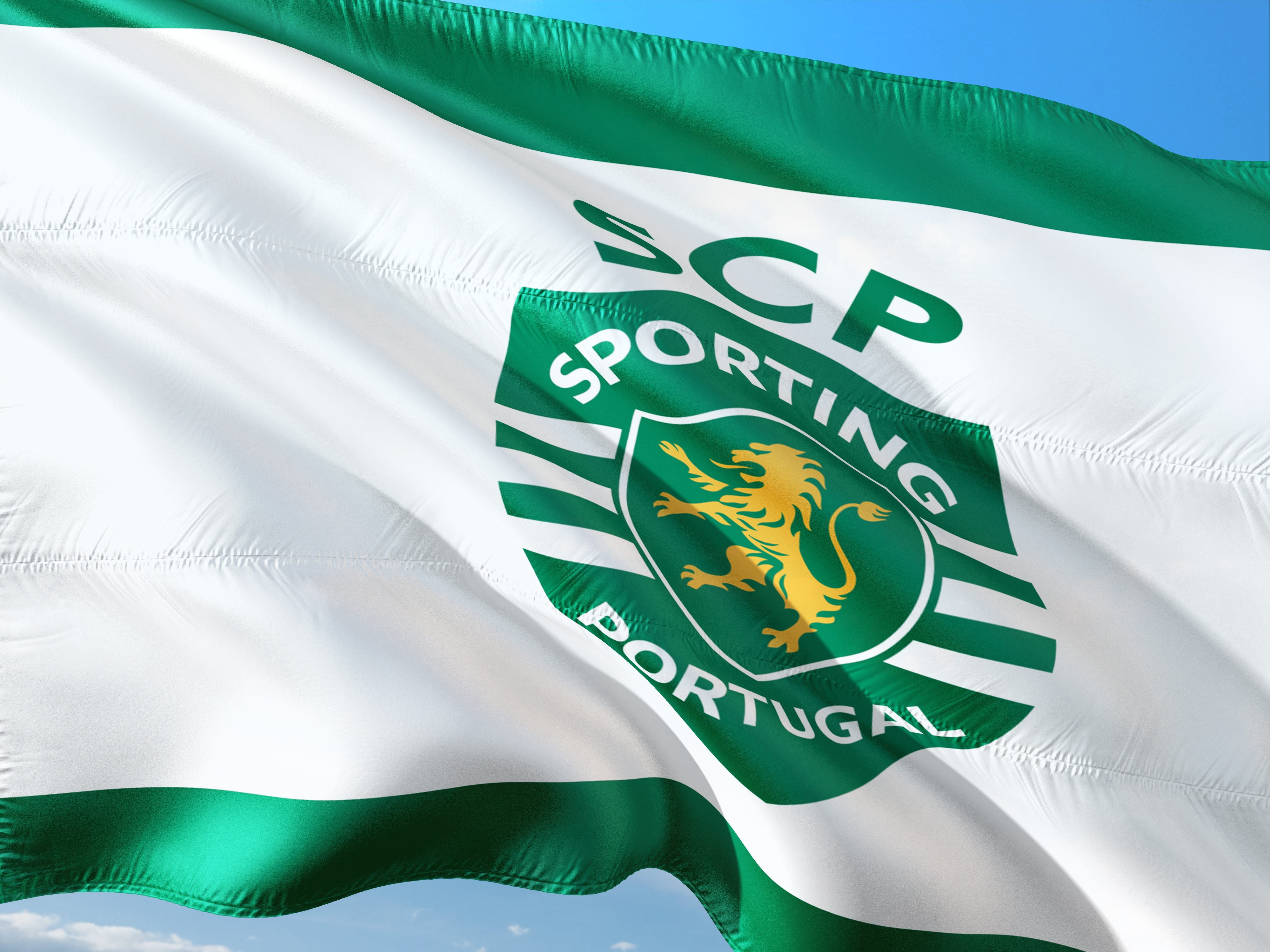 champions league, white color, sporting lisbon, sky, close-up, europe, 4K, logo, football, no people, nature, soccer, insignia, social issues, flag, wind, HD Wallpaper
