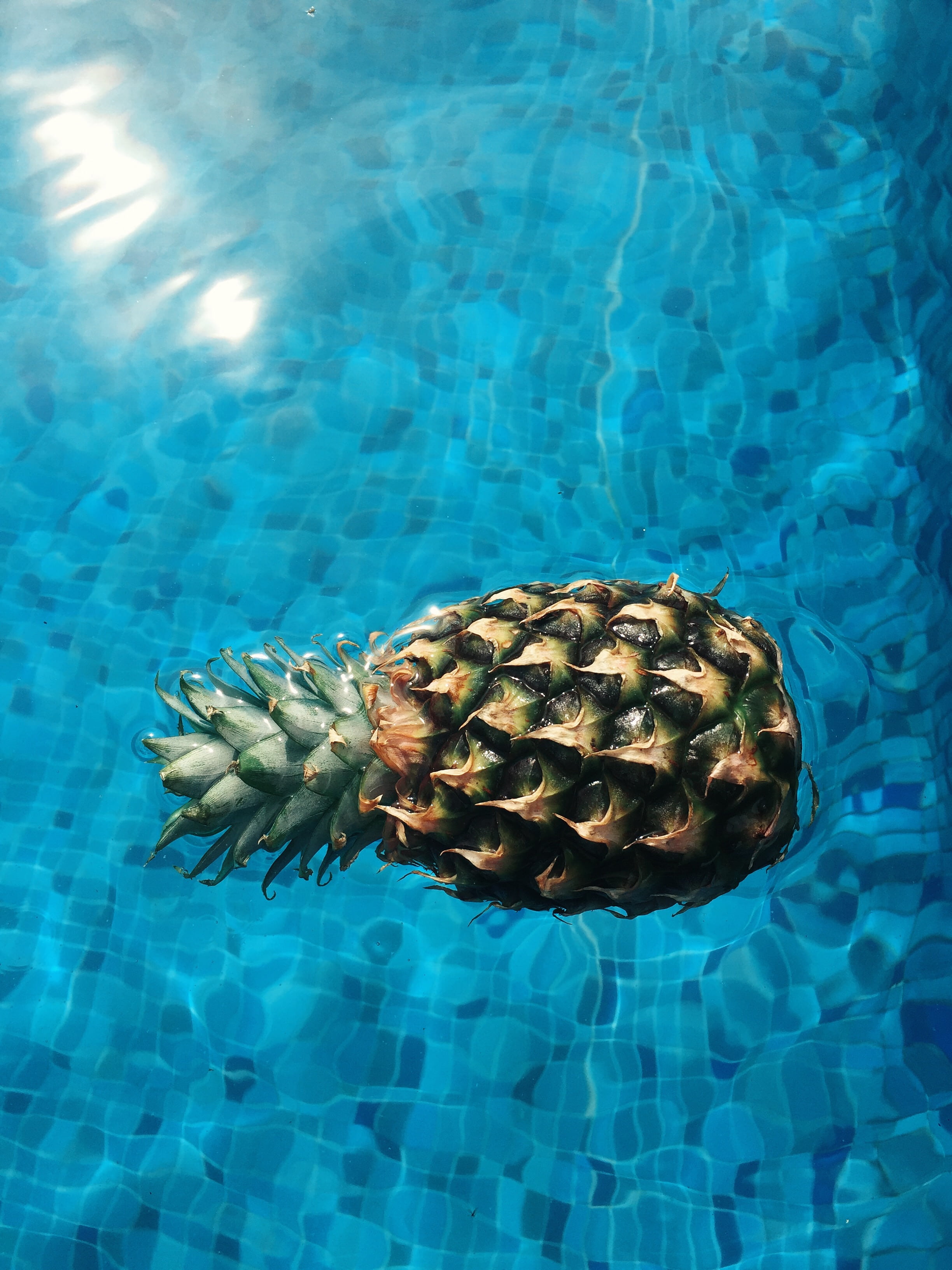 nature, close-up, underwater, green, fruit, day, animal, water, animal wildlife, turquoise colored, pineapple, floating, marine, appetizer, sea, dessert, Phone HD Wallpaper