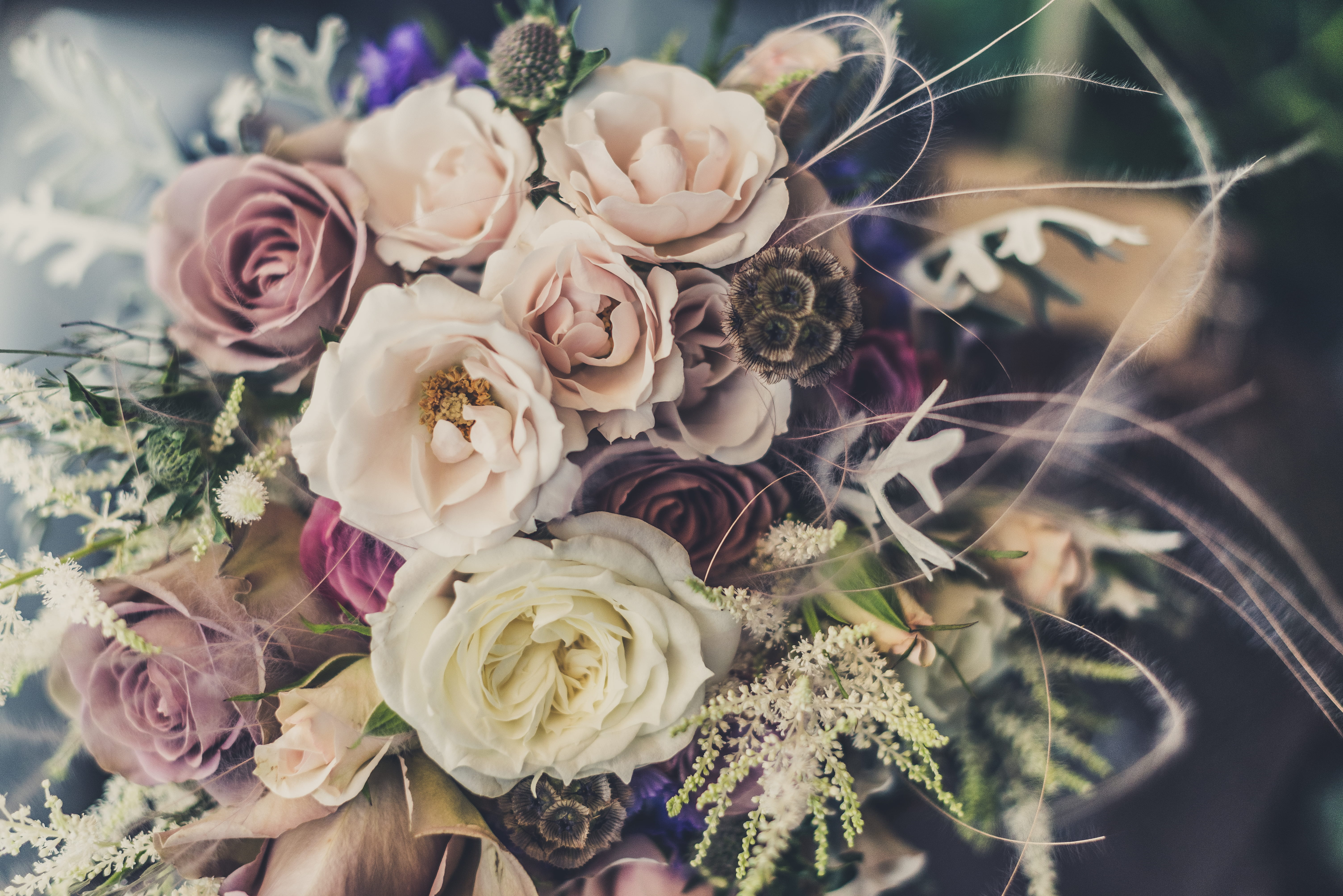 5K, color, floral, nature, plant, fragility, flowering plant, focus on foreground, flowers, flower arrangement, vintage, selective focus, flower, inflorescence, HD Wallpaper