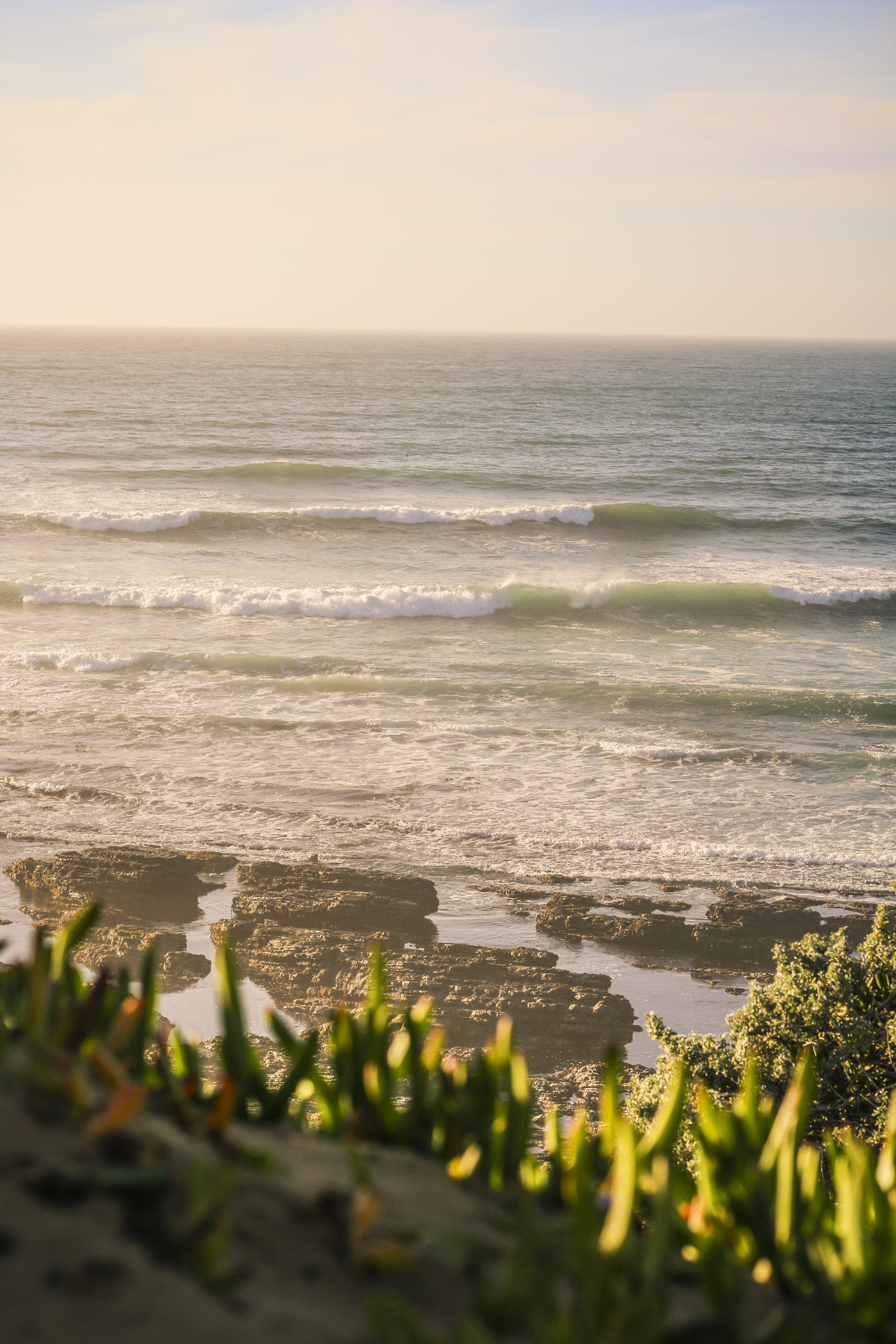 nature, beauty in nature, plant, no people, tidepools, tranquility, scenics - nature, pacific, sand, sea, outdoors, idyllic, wave, land, water, friends, Phone HD Wallpaper