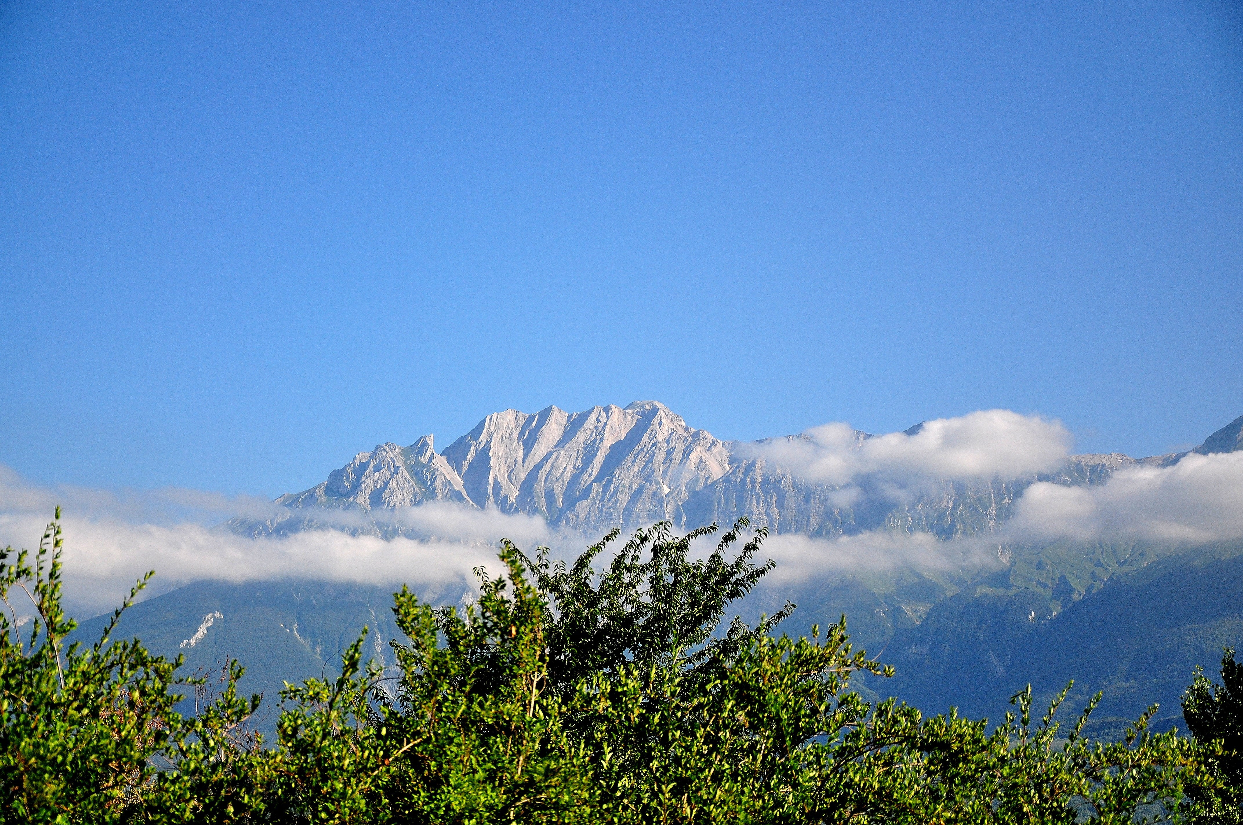 beauty in nature, environment, clouds, pine tree, mountain range, outdoors, the apennines, mountain, tranquil scene, coniferous tree, pine woodland, day, HD Wallpaper