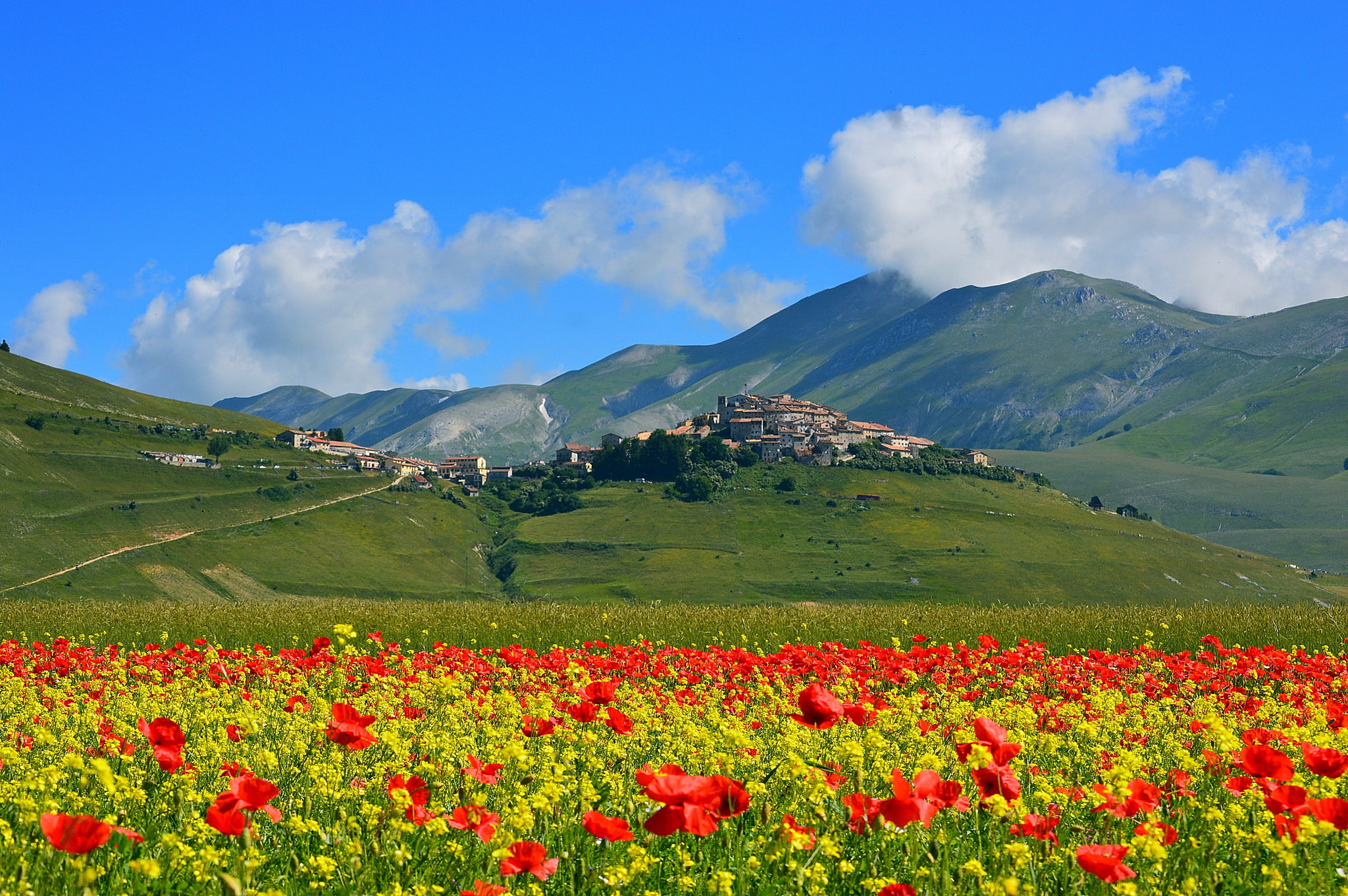 the village, Castelluccio di Norcia, Maki, 1080P, meadow, home, Italy, field, mountains, flowers, HD Wallpaper