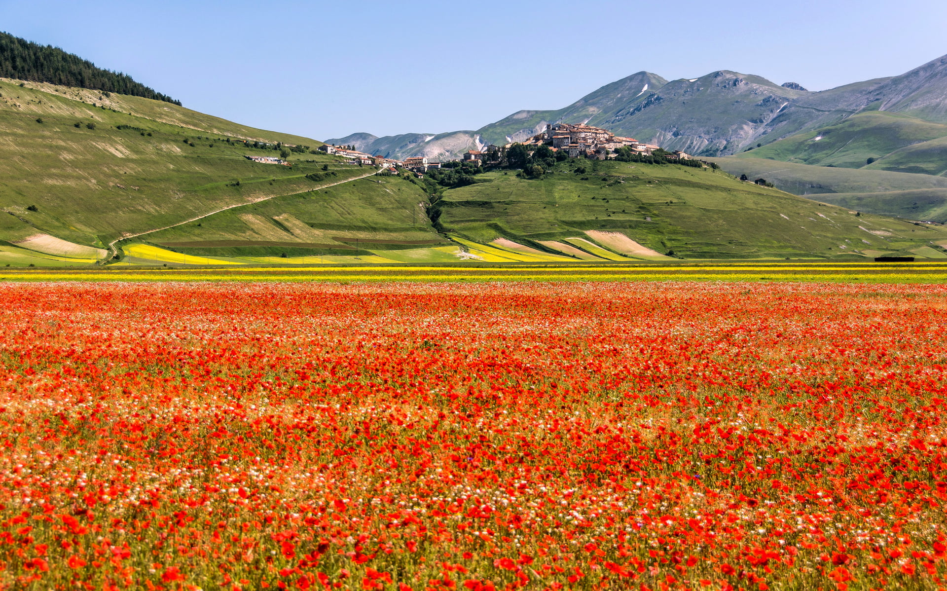 mountain, Italy, beauty in nature, mountain range, rural scene, idyllic, 1080P, field, meadow, non-urban scene, day, flowers, flowering plant, rolling landscape, HD Wallpaper