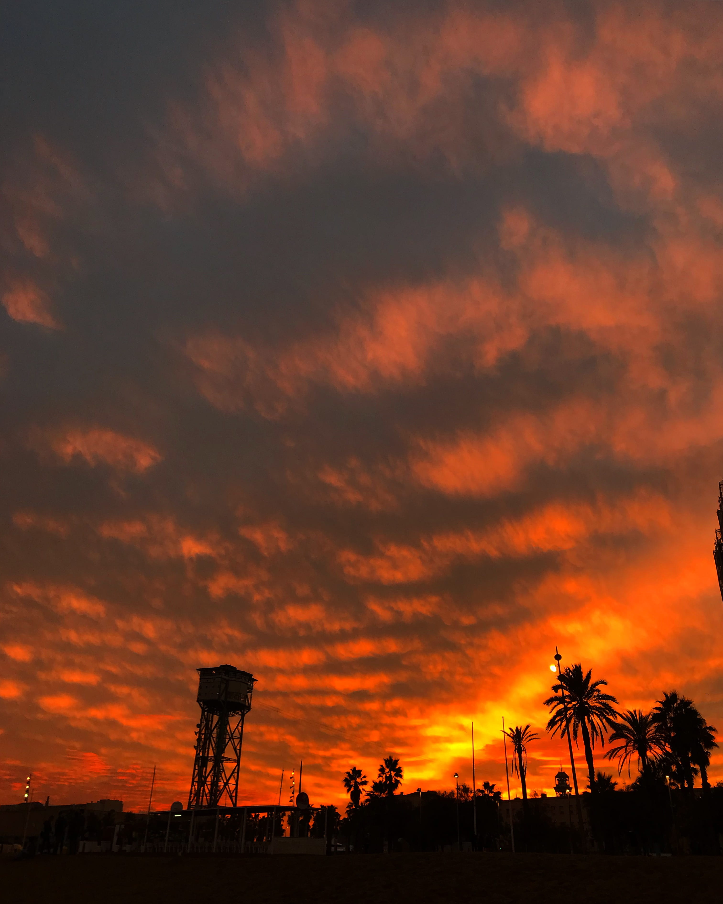 2K, outdoors, sunrise, person, barcelona, orange color, architecture, dramatic sky, cloud - sky, red sky, human, tranquil scene, tree, palm tree, sunset, Phone HD Wallpaper