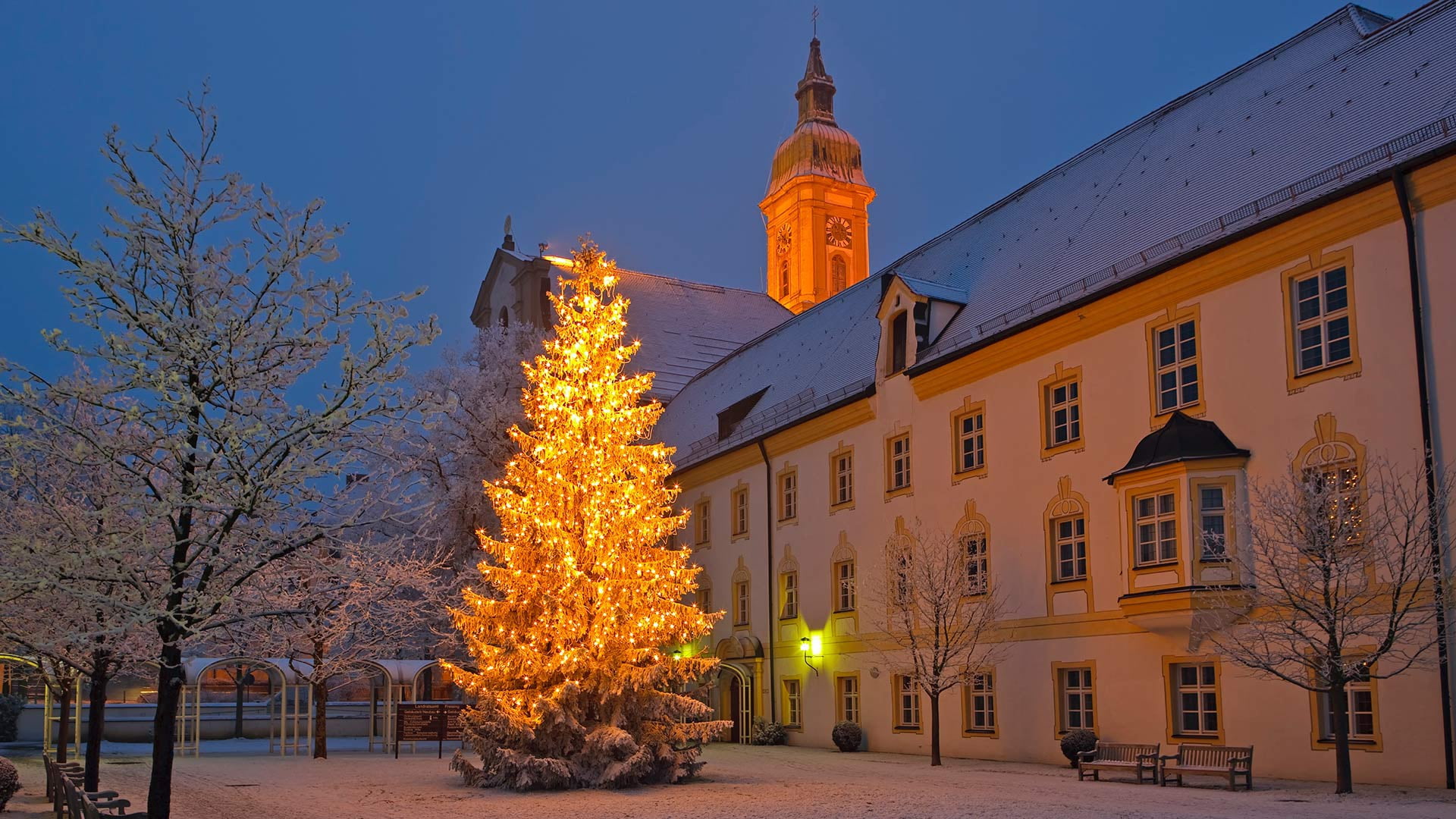 building, Freiburg, Christmas, bell tower, trees, evening, city, winter, twilight, church, 1080P, lights, New Year, Germany, Christmas tree, snow, sunset, HD Wallpaper