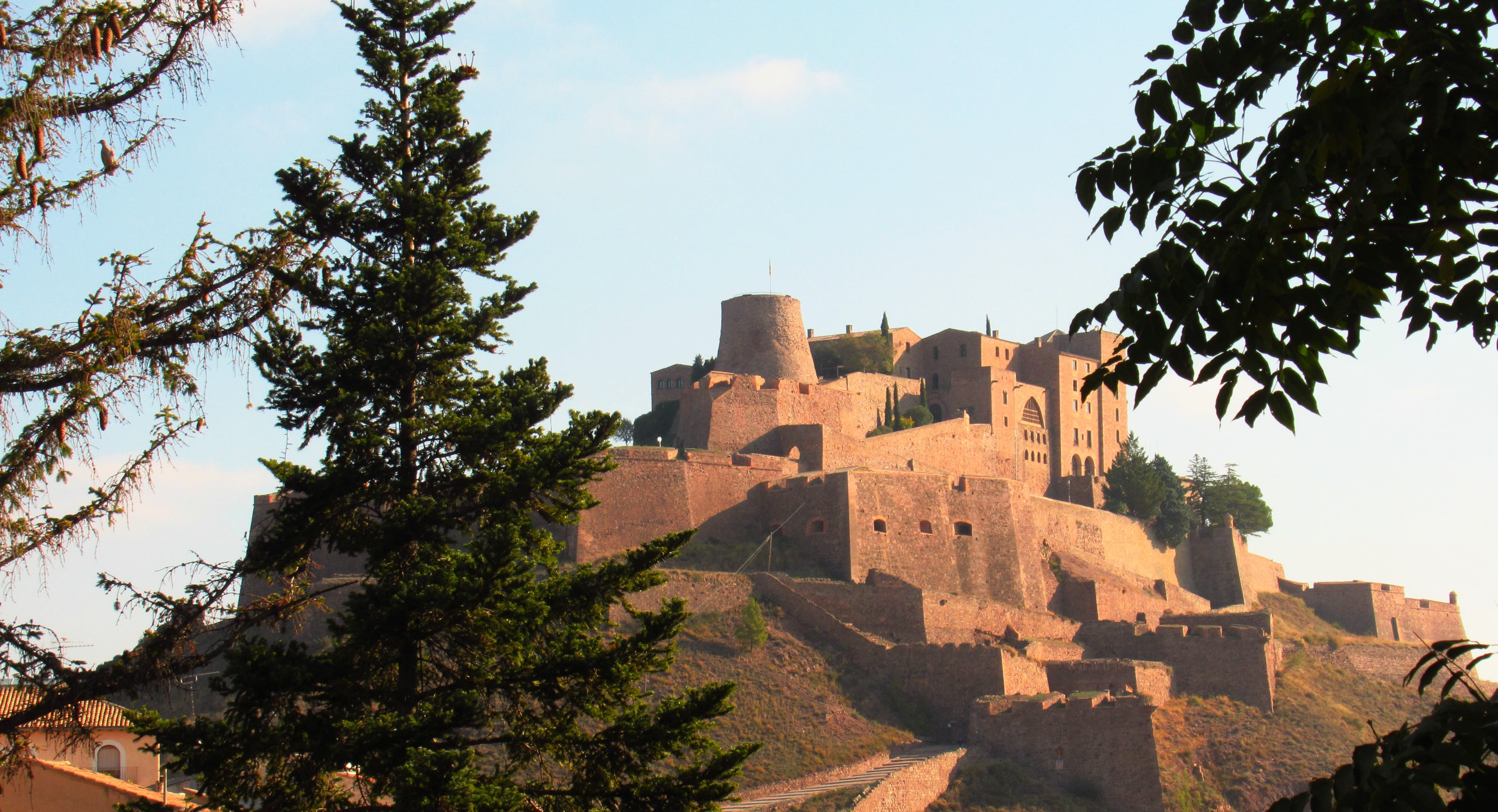 salt mountain, travel, history, building exterior, ancient, fortress, tree, building, cardona, castle, parador, nature, romanesque, day, travel destinations, HD Wallpaper