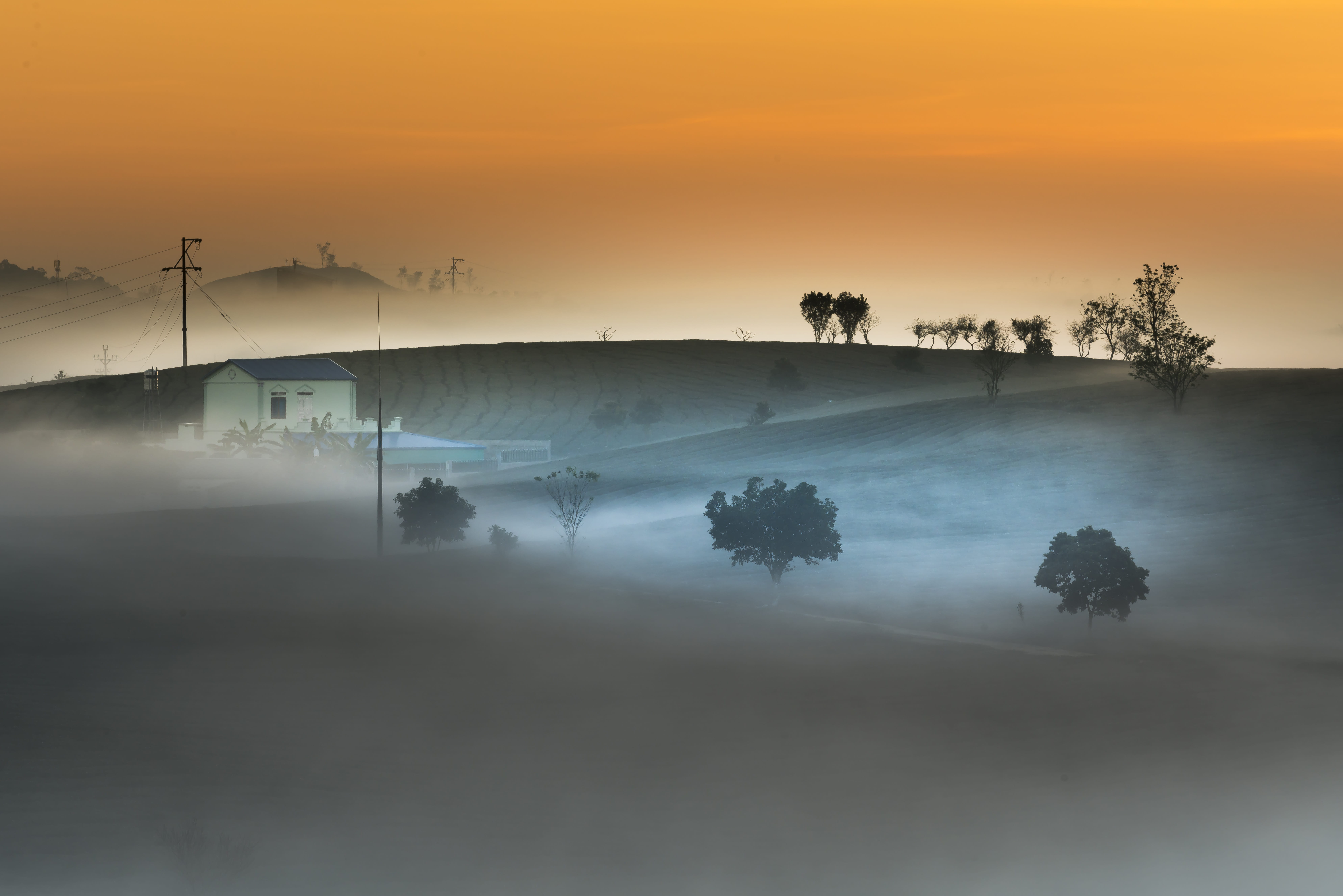 fanciful, background, asia, idyllic, the countryside, curve, agriculture, nature, hazy, moc chau, beauty, page, national, beauty in nature, the morning, HD Wallpaper