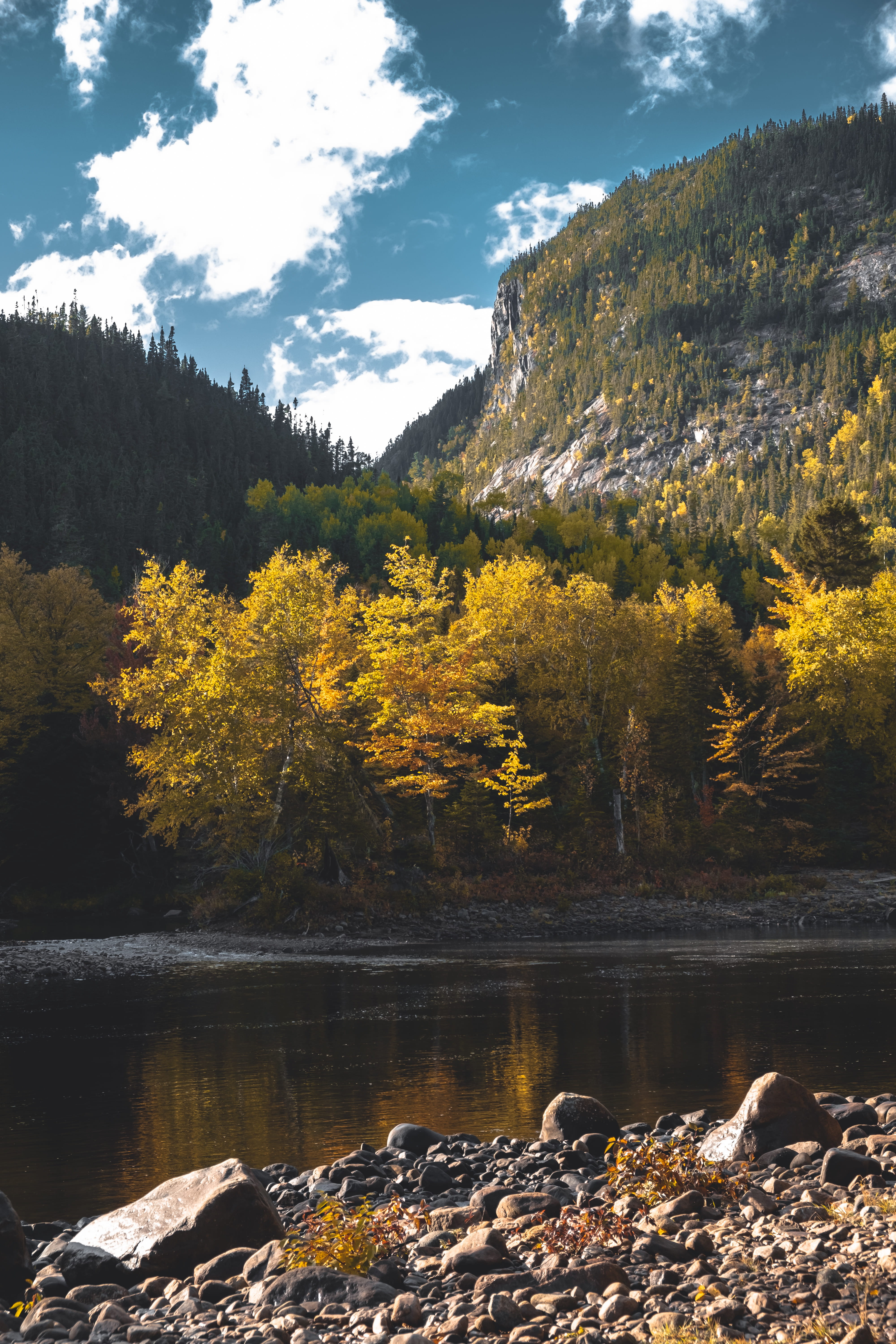 outdoors, tree, day, tranquil scene, flowing water, 5K, larch, fir, vegetation, beauty in nature, art, scenics - nature, painting, rock - object, sky, Phone HD Wallpaper