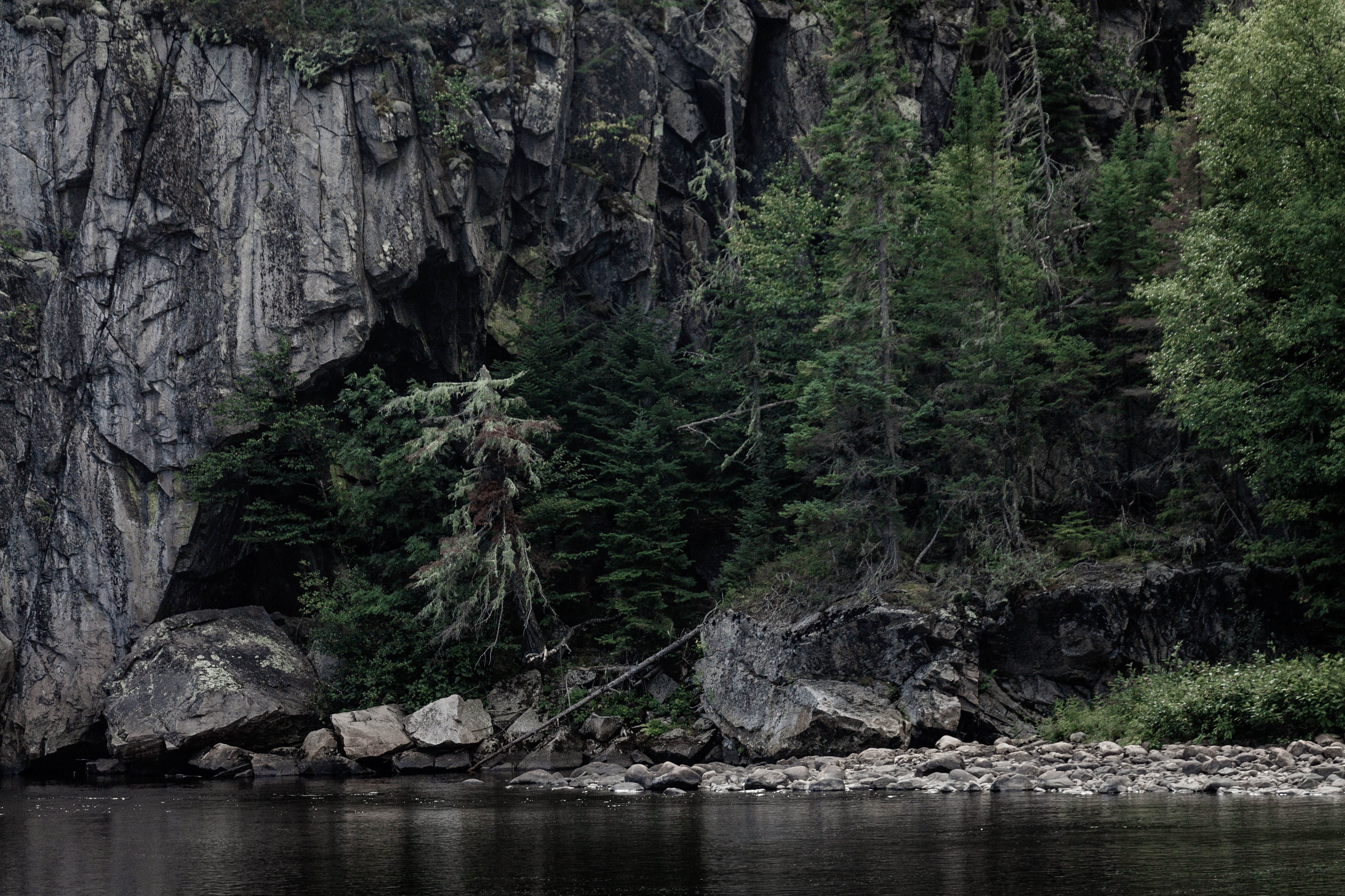 4K, non-urban scene, water, canada, rainforest, beauty in nature, river, trees, hautes-gorges-de-la-rivière-malbaie national park, tree, plant, rock formation, HD Wallpaper