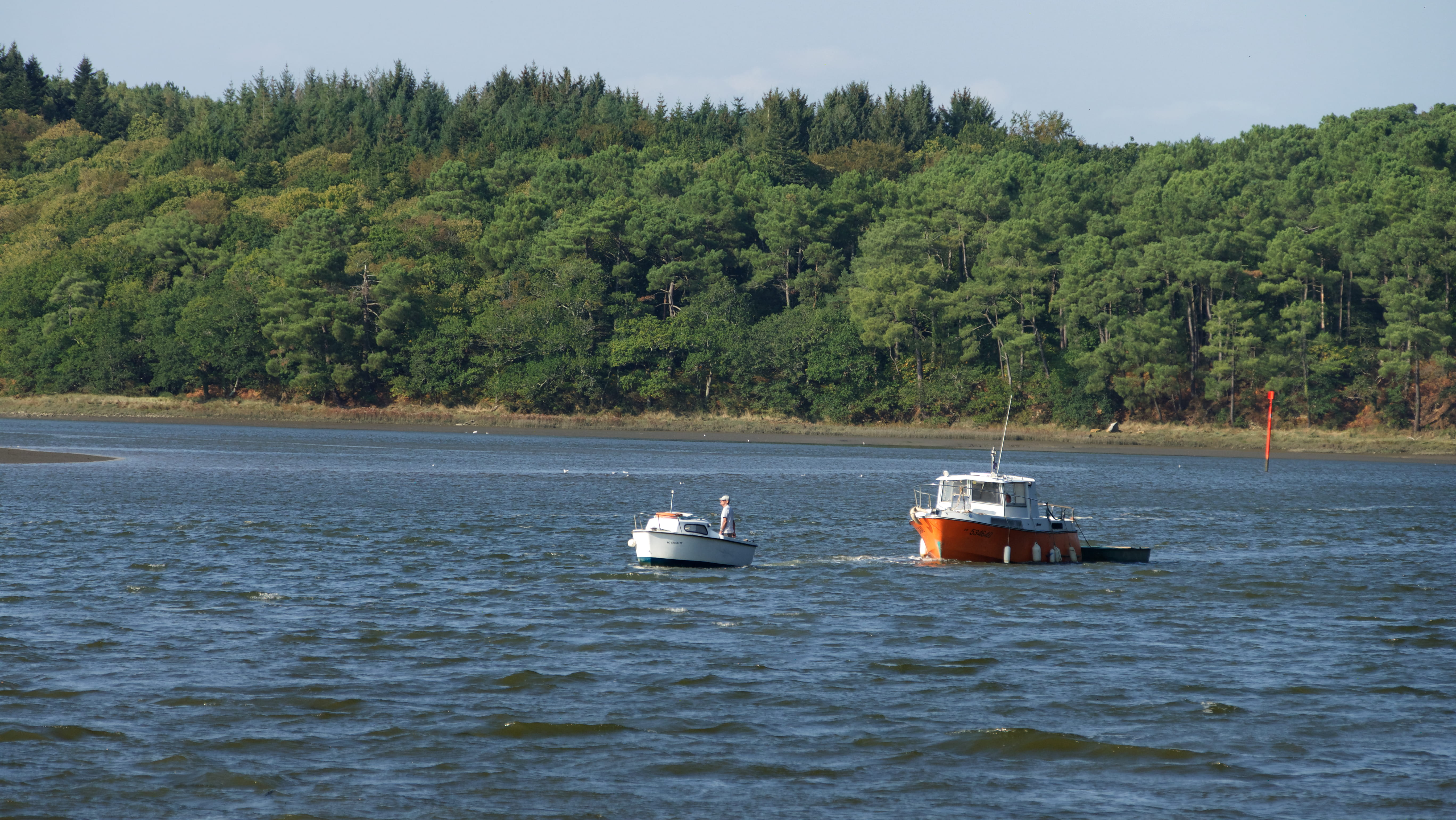 waterfront, no people, bateau, tree, passenger craft, plant, green color, growth, transportation, scenics - nature, sailboat, tranquility, tranquil scene, HD Wallpaper