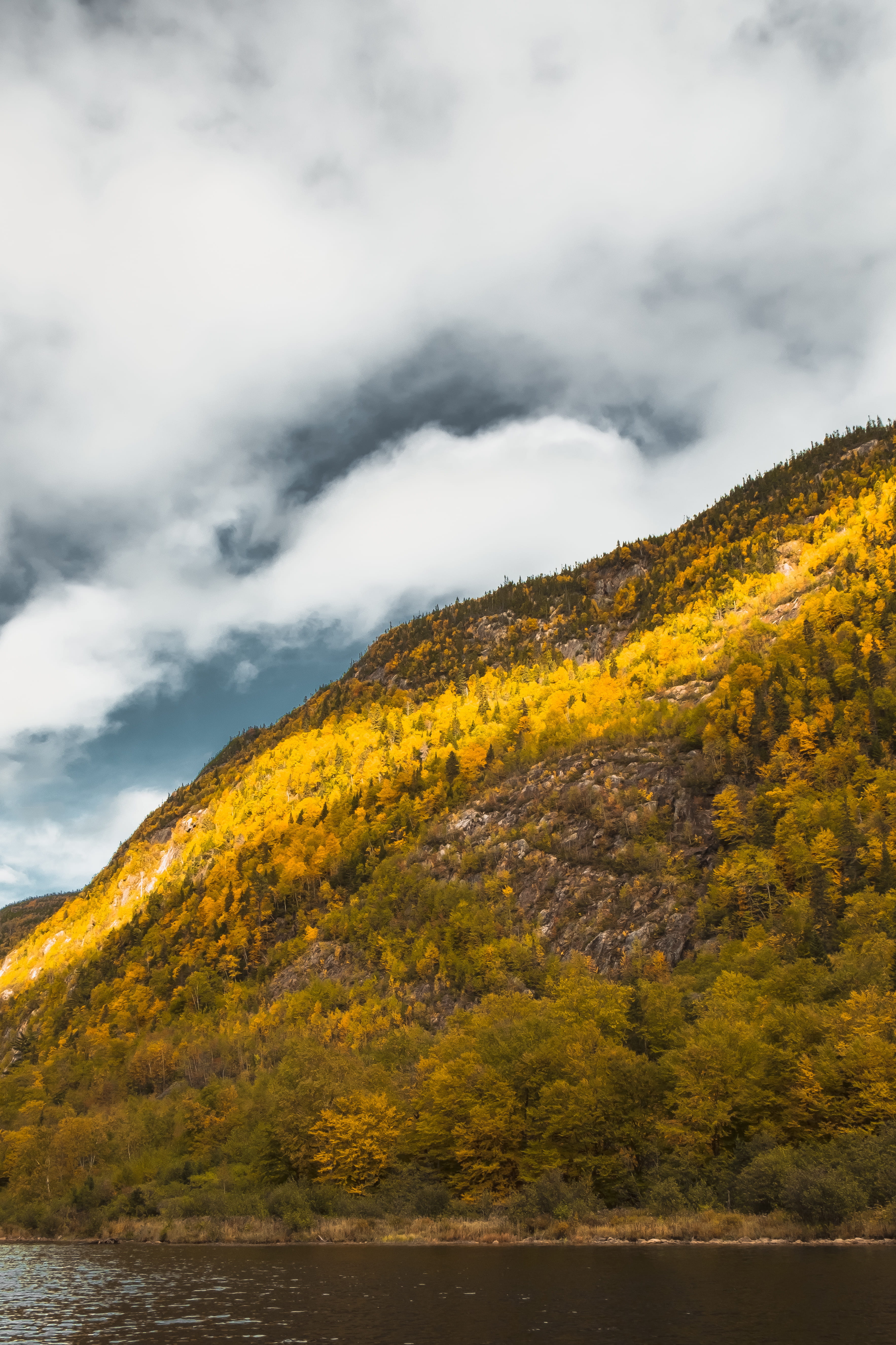 hautes-gorges-de-la-rivière-malbaie national park, clermont, autumn, 5K, forest, beauty in nature, nature, day, river, water, moutain, non-urban scene, Phone HD Wallpaper