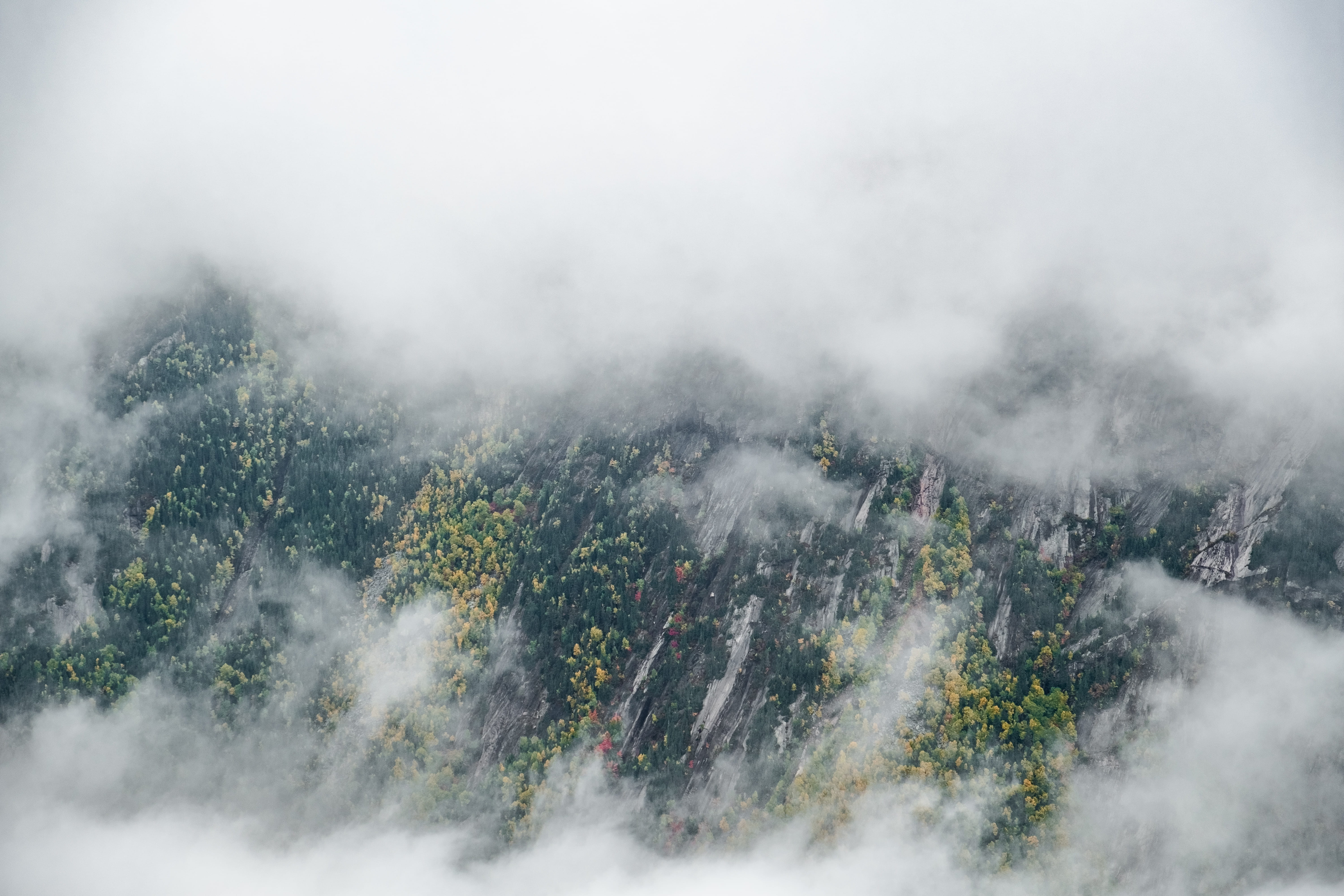 environment, cloudy, tree, photography, cloudscape, parc national des hautes-gorges-de-la-rivière-malbaie, no people, outdoors, high angle view, tranquility, HD Wallpaper