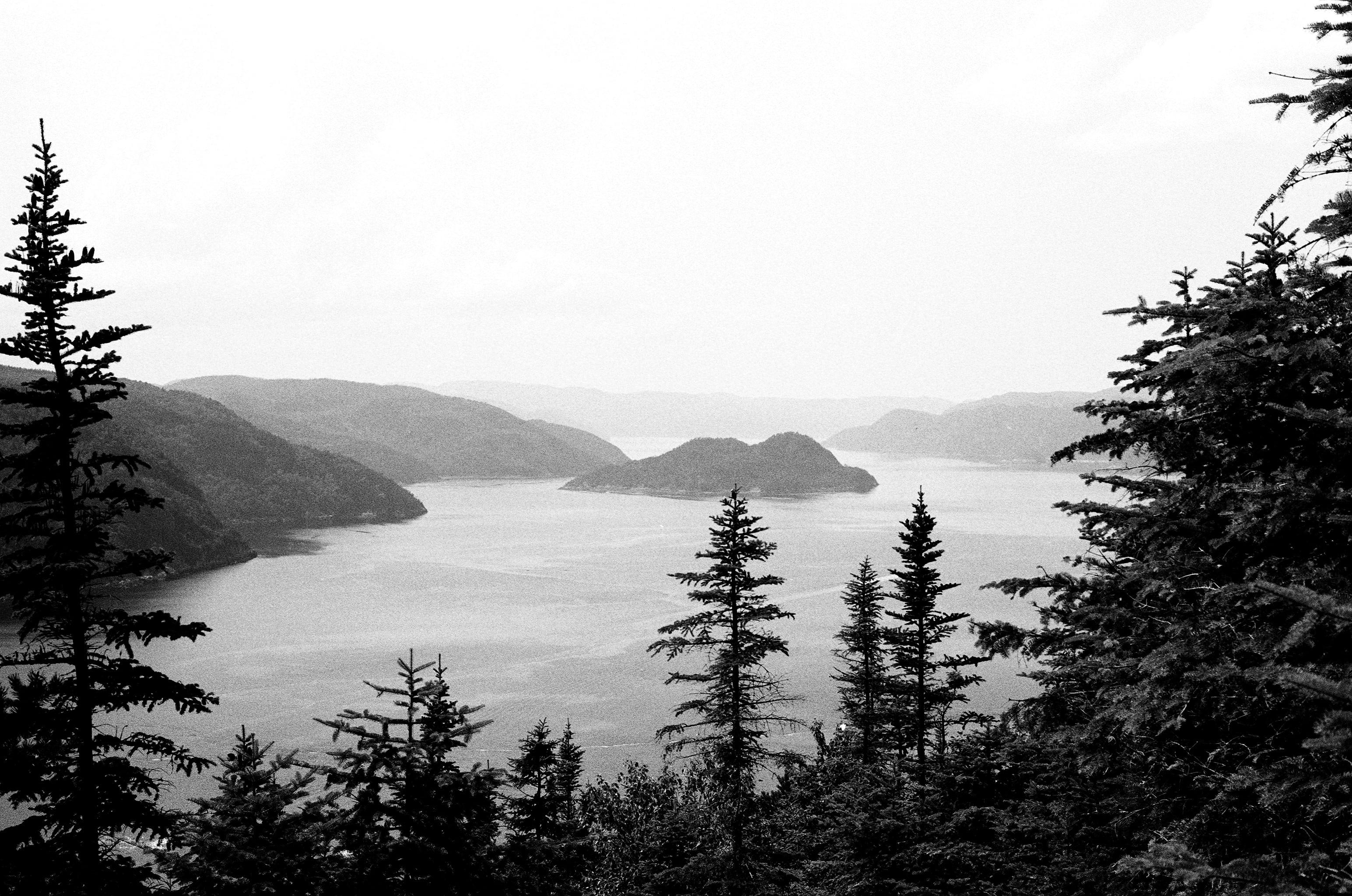 mountain, nature, landscape, sky, middle, scenics - nature, tree, no people, day, islands, coniferous tree, scenics, view, trees, pinaceae, lake, water, HD Wallpaper