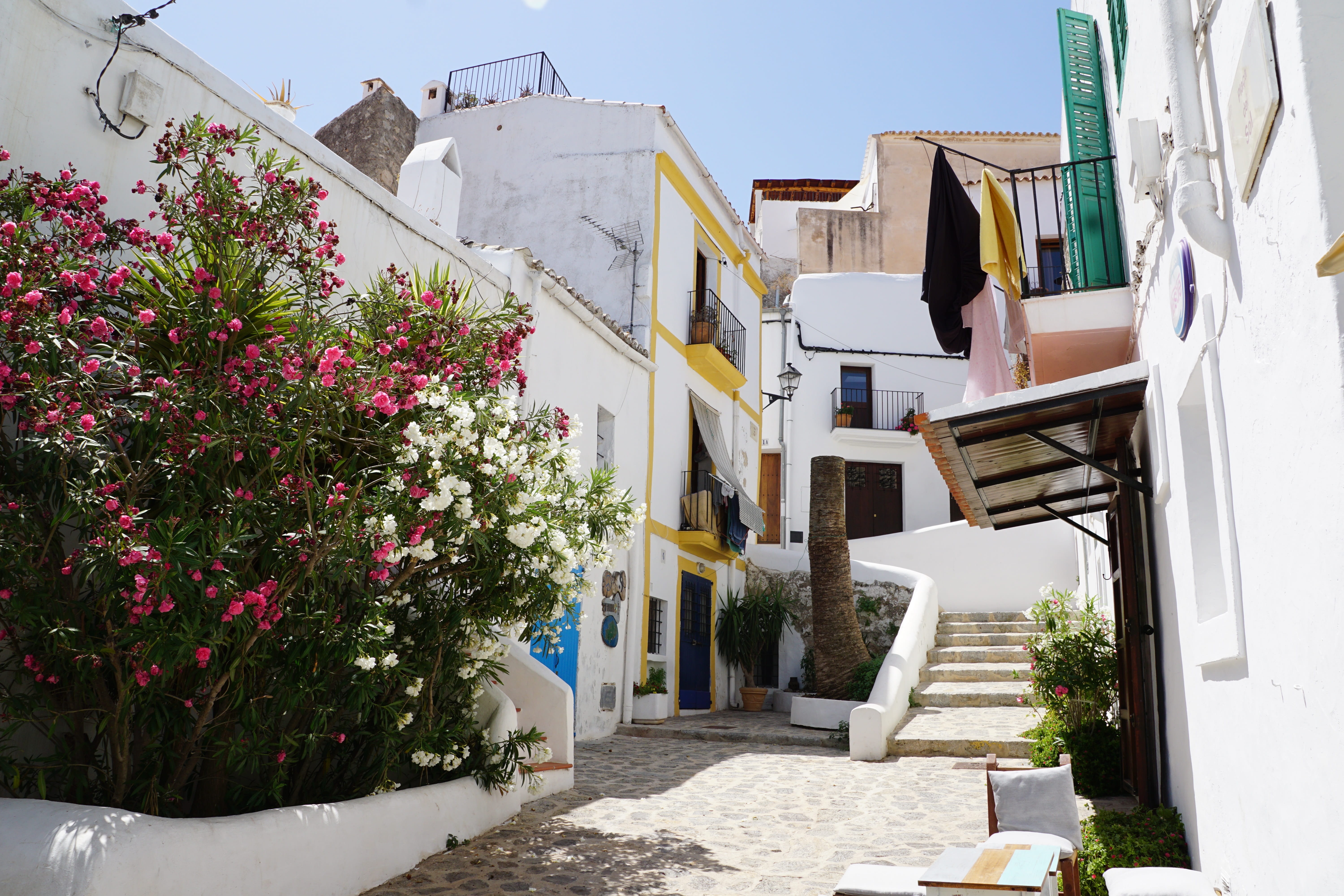 flower, growth, historic center, residential district, flowering plant, alley, house, building exterior, sunlight, clear sky, no people, eivissa, idyllic, HD Wallpaper