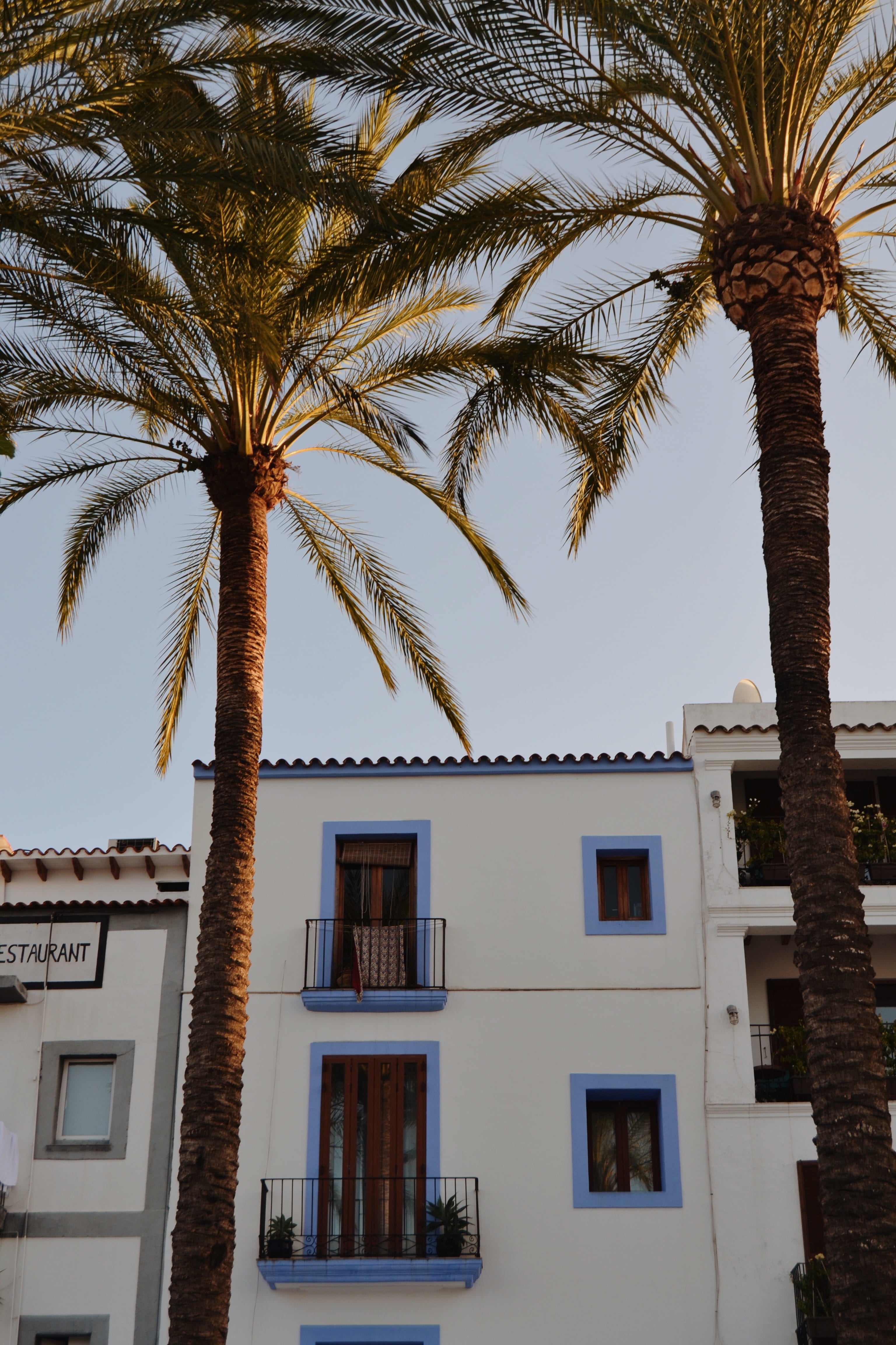outdoors, sky, built structure, no people, ivissa, trees, pale, spain, wall, growth, light blue, palm leaf, coconut palm tree, home, window, exterior, colour, Phone HD Wallpaper