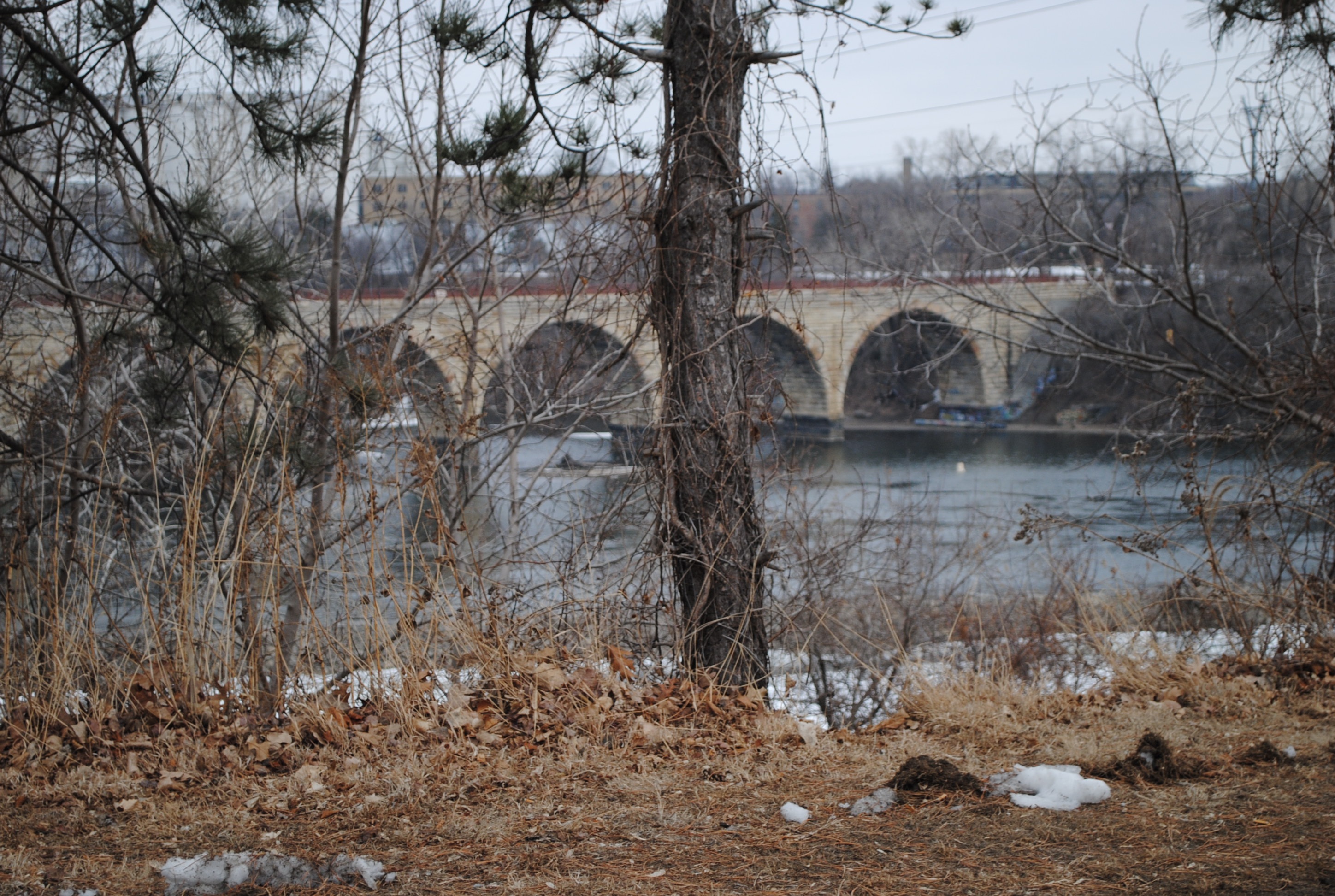 outdoors, minneapolis, arch bridge, stone arch bridge, landmark, tree, day, sky, urban, branch, landscape, downtown, bridge, scenic, water, mississippi river, HD Wallpaper