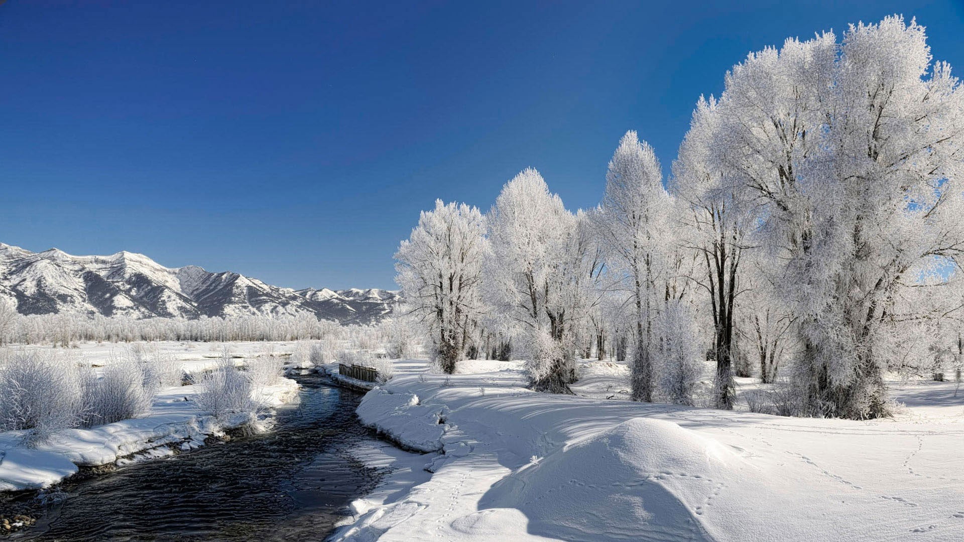 frost, weather, ice, cold - Temperature, source, white color, freshness, tranquil Scene, winter, beauty In Nature, forest, snow, tree, outdoors, mountain, HD Wallpaper