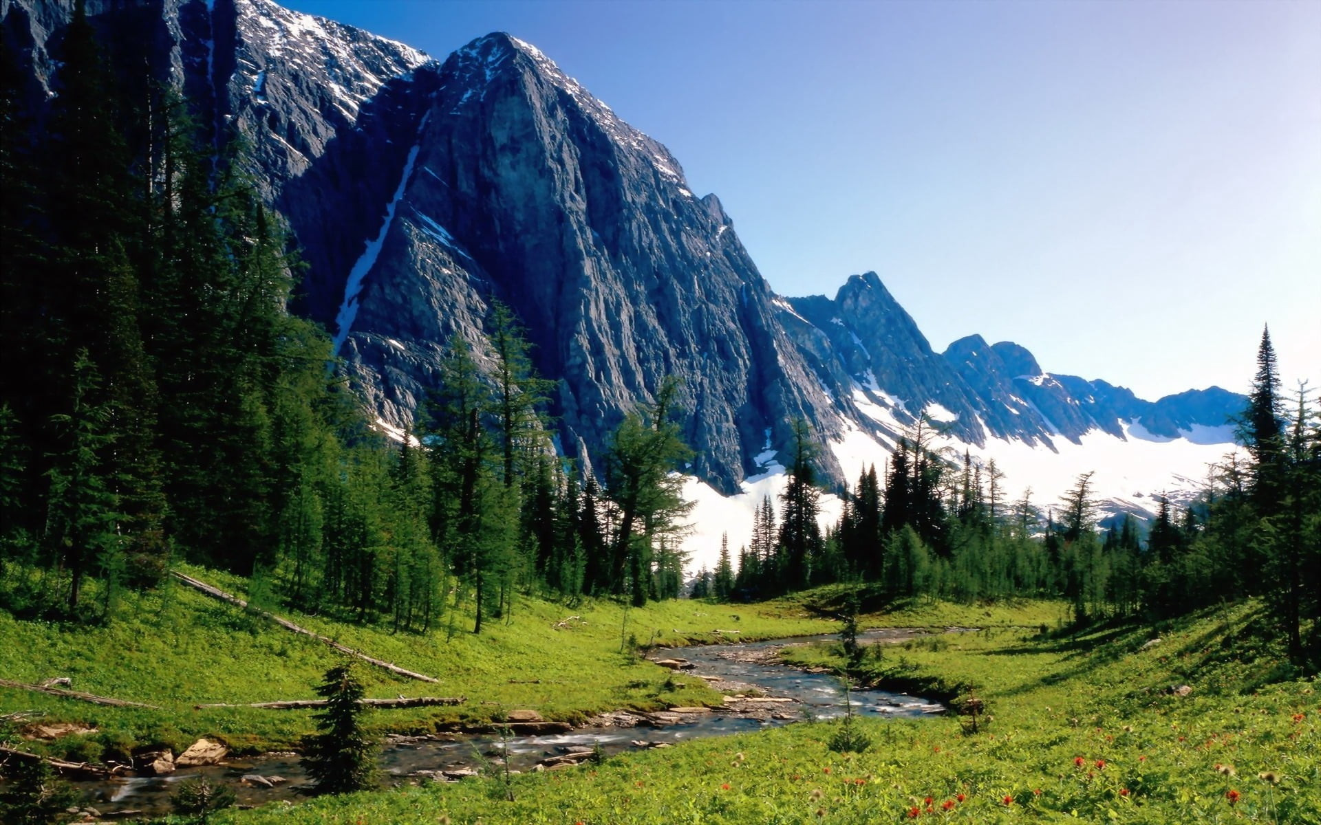 europe, dolomites, outdoors, forest, land, yosemite National Park, color Image, beauty In Nature, panoramic, national Landmark, national Park, field, no People, HD Wallpaper