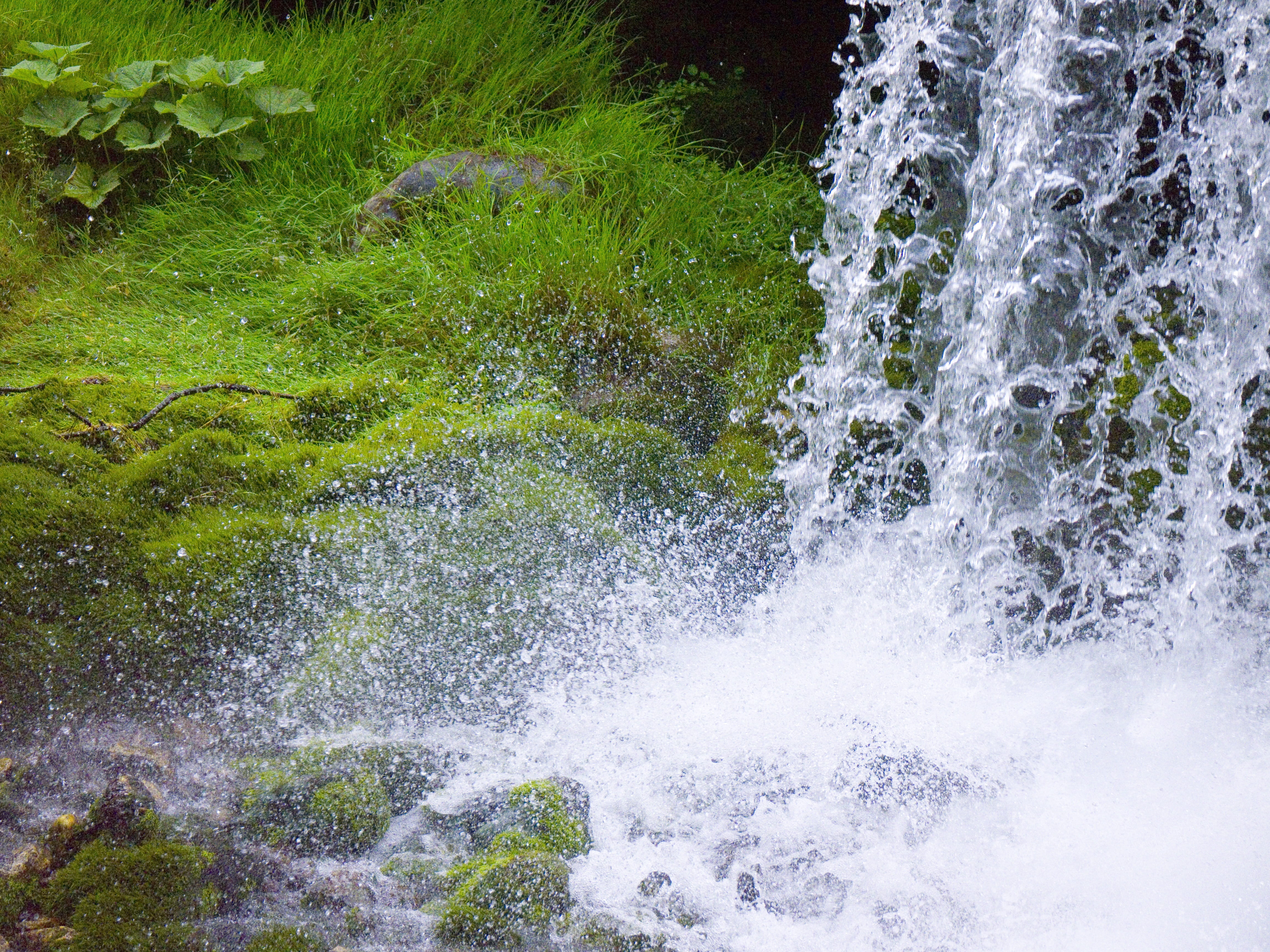 plant, Drip, aquatic sport, motion, outdoors, beauty in nature, landscape, blurred motion, Mountain Stream, power in nature, solid, Nature, splashing, rock, HD Wallpaper