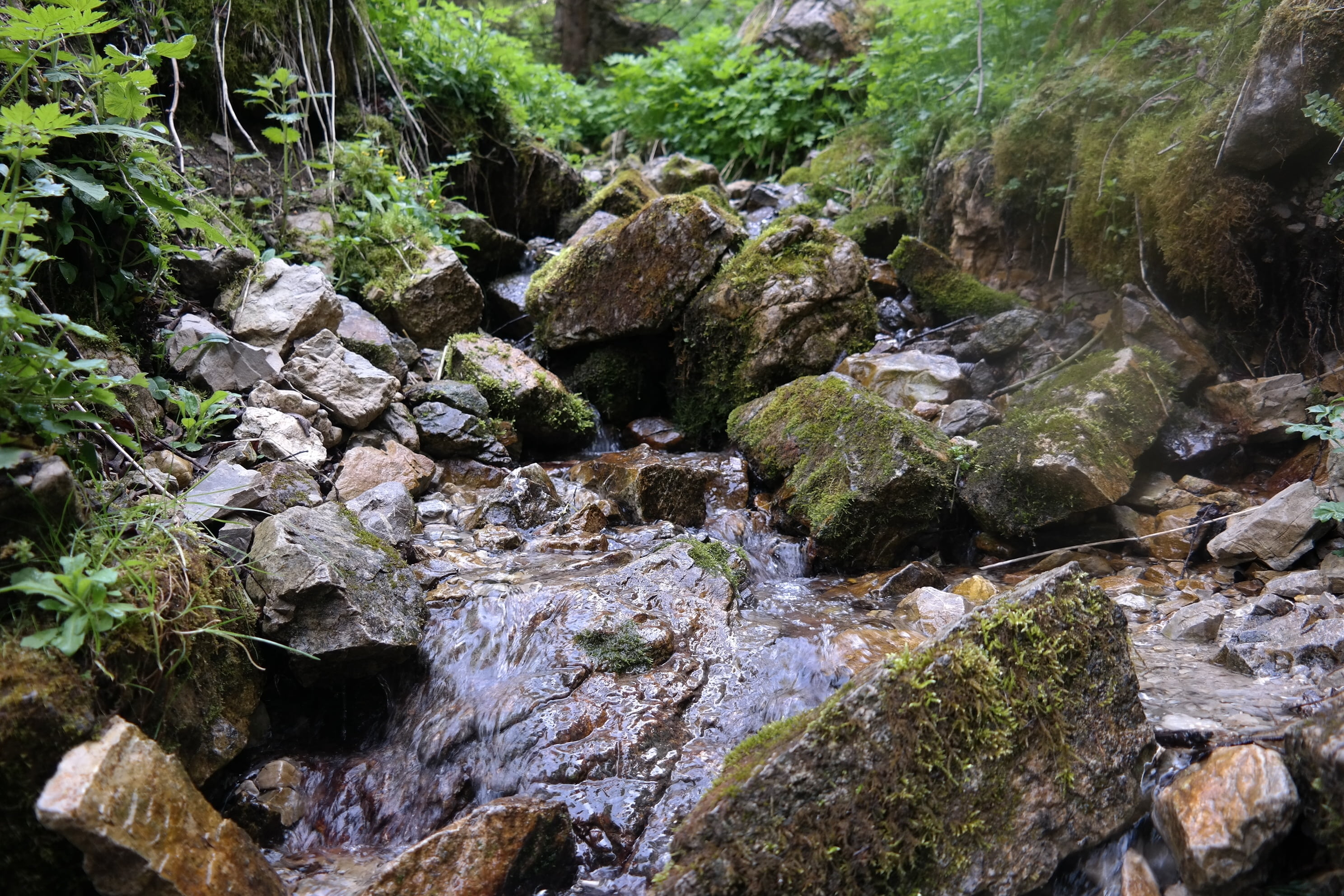 stones, flowing water, tranquility, scenics - nature, plant, growth, no people, outdoors, beauty in nature, rock, flowing, mountains, rock - object, solid, HD Wallpaper