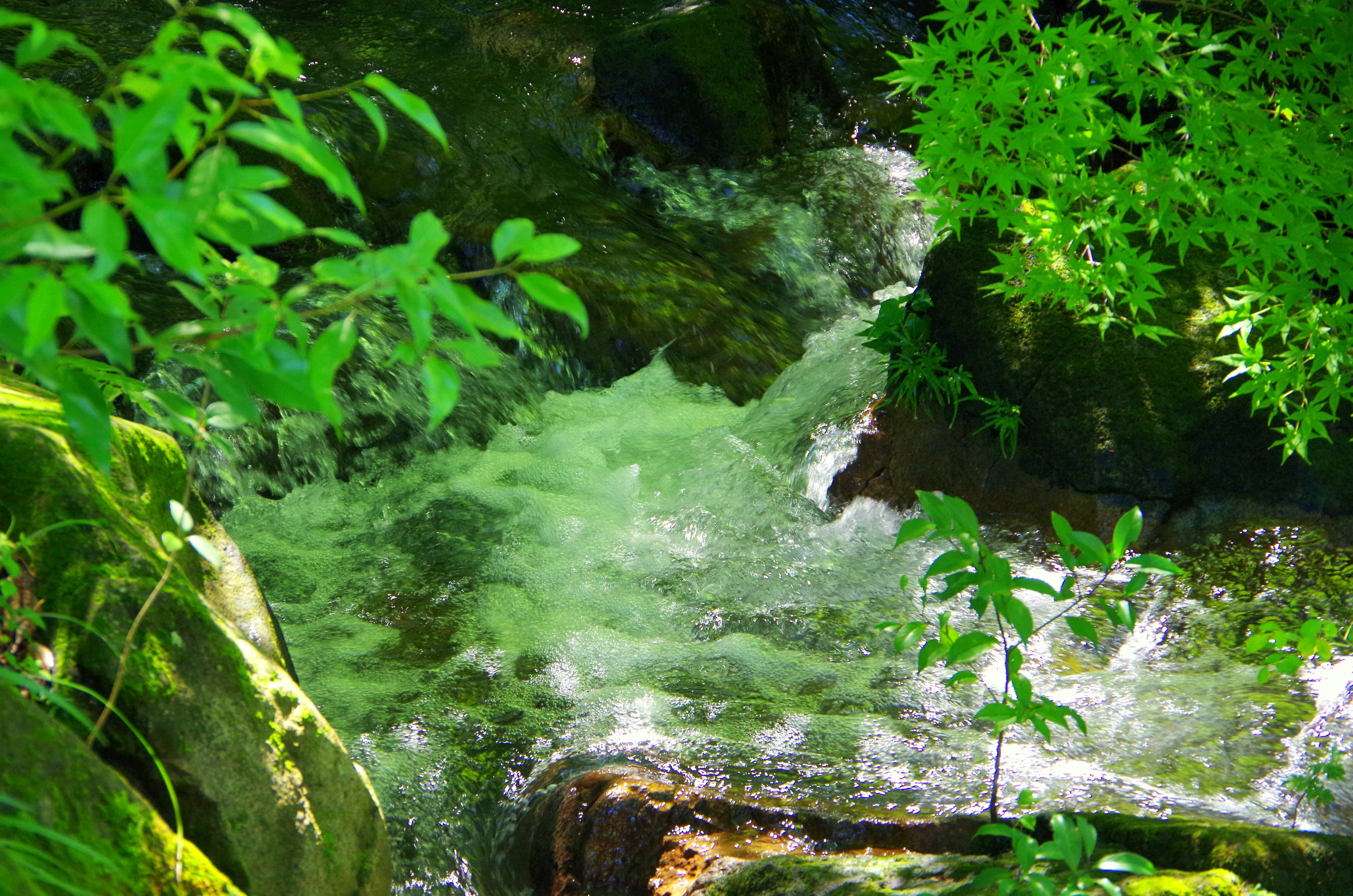 green color, plant, sunbeams, tree, flowing water, natural, forest, waterfall, valley, light, scenics - nature, beauty in nature, growth, woods, 4K, land, HD Wallpaper