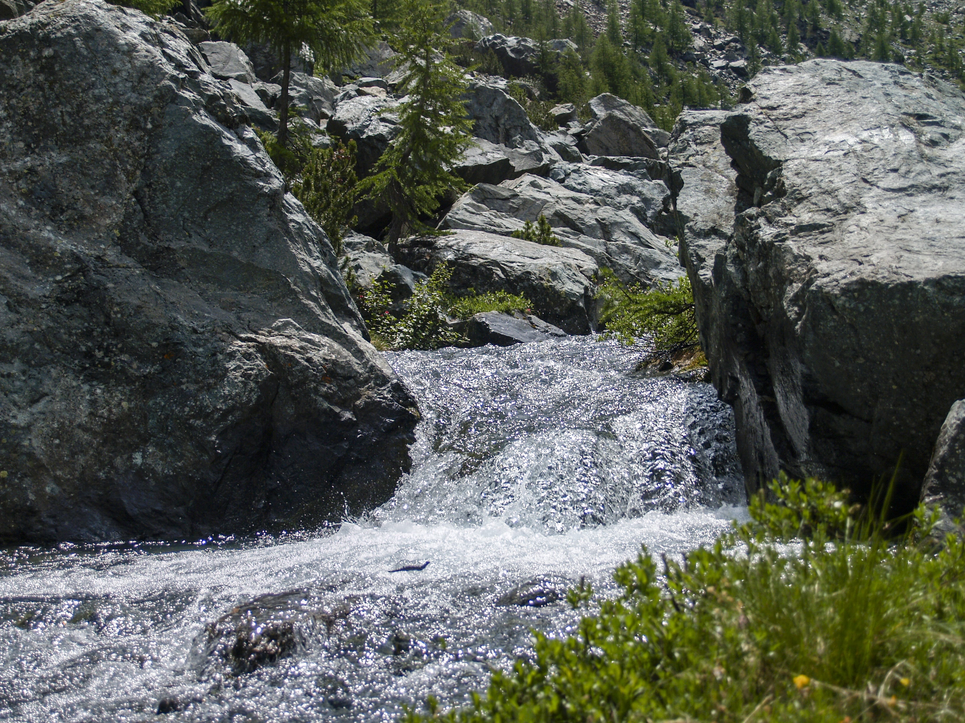 solid, water, day, motion, rock - object, source, plant, river, rock, torrent, beauty in nature, waterfall, stream, mountain, forest, rocks, outdoors, flowing water, HD Wallpaper