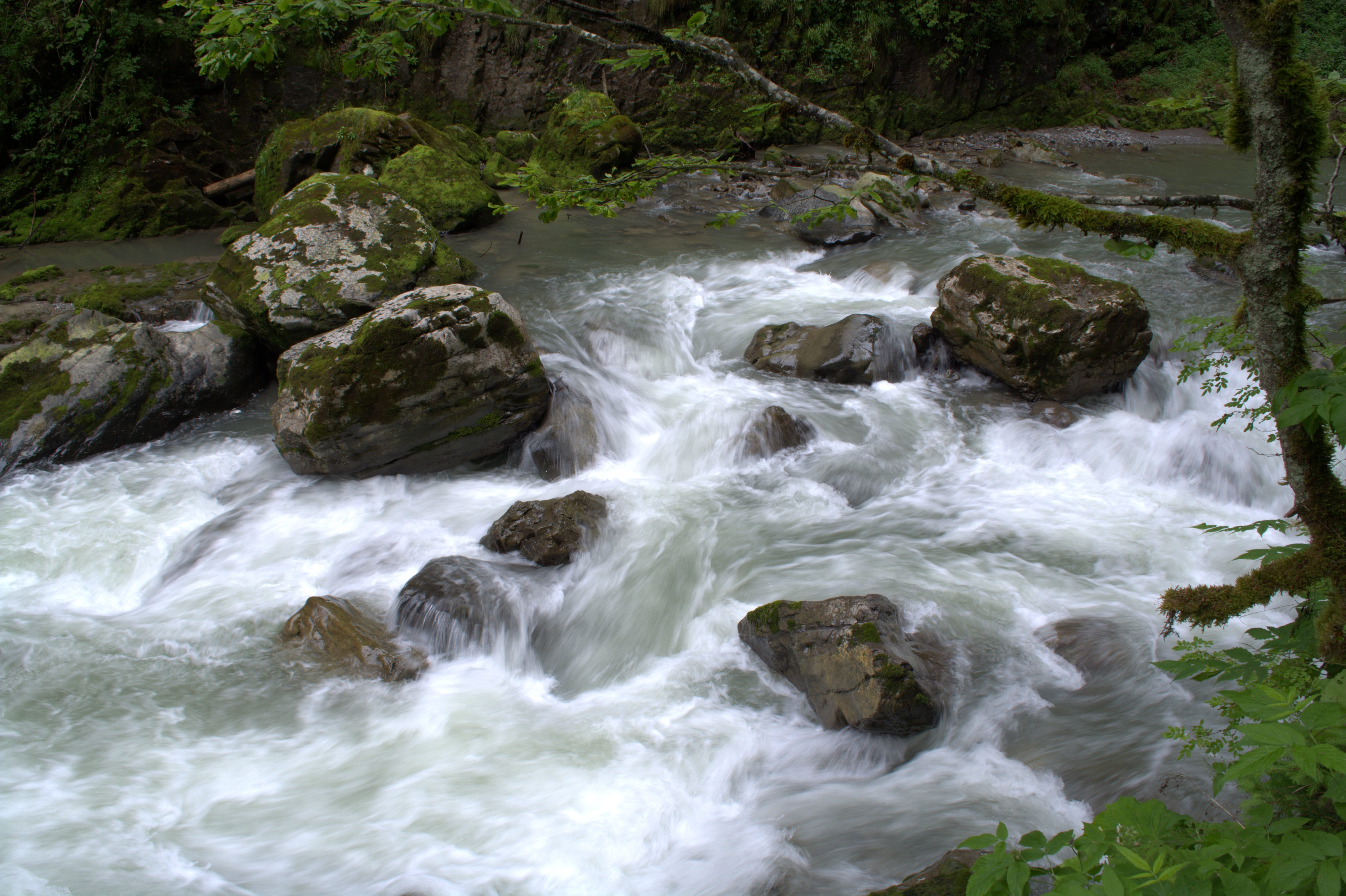 day, broad brook clammy, non-urban scene, mountains, tree, source, motion, water, kleinwalsertal, flowing water, nature, flow, Allgäu, stones, Broad Brook, HD Wallpaper