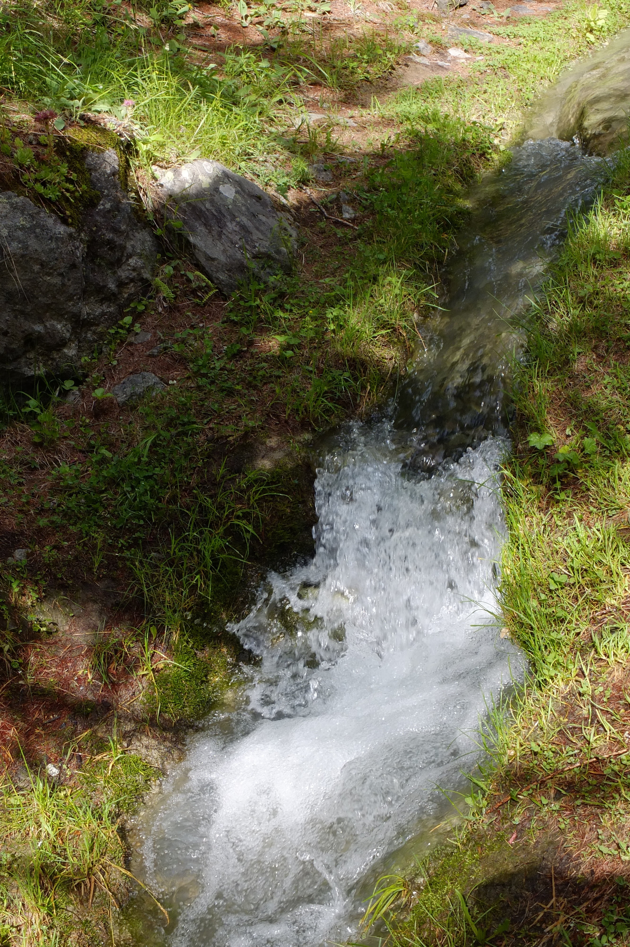 stream - flowing water, moss, high angle view, plant, river, solid, nature, tranquility, outdoors, rock - object, flowing water, water, land, beauty in nature, Phone HD Wallpaper